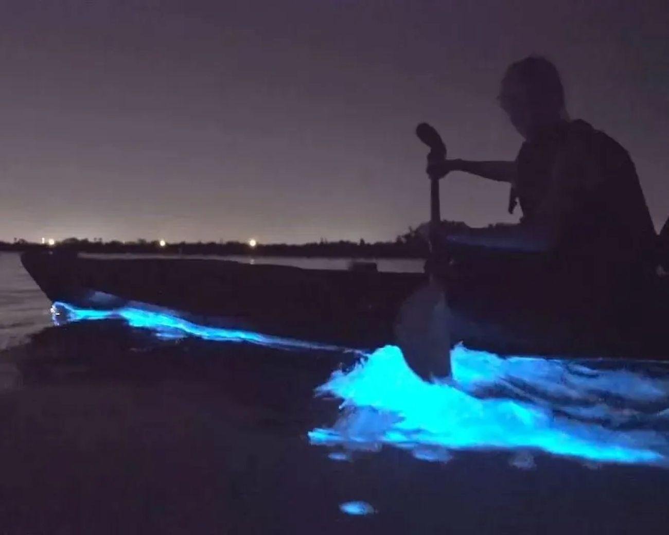 Orcas Island Bioluminescent Kayak Tour