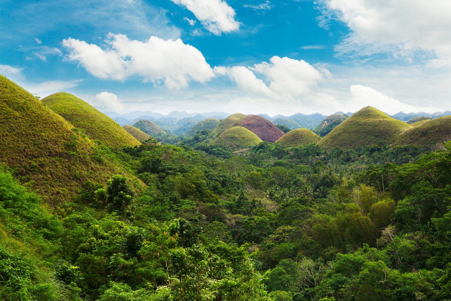 Bohol Island Day Trip from Cebu: Chocolate Hills, Tarsiers & River Cruise
