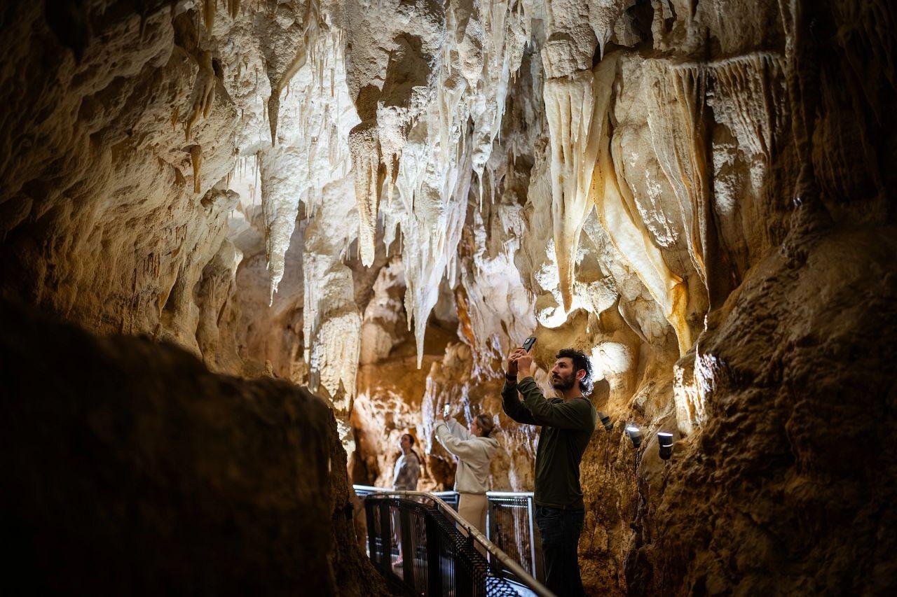 Waitomo Caves: Ruakuri Glowworm Cave Guided Walking Tour