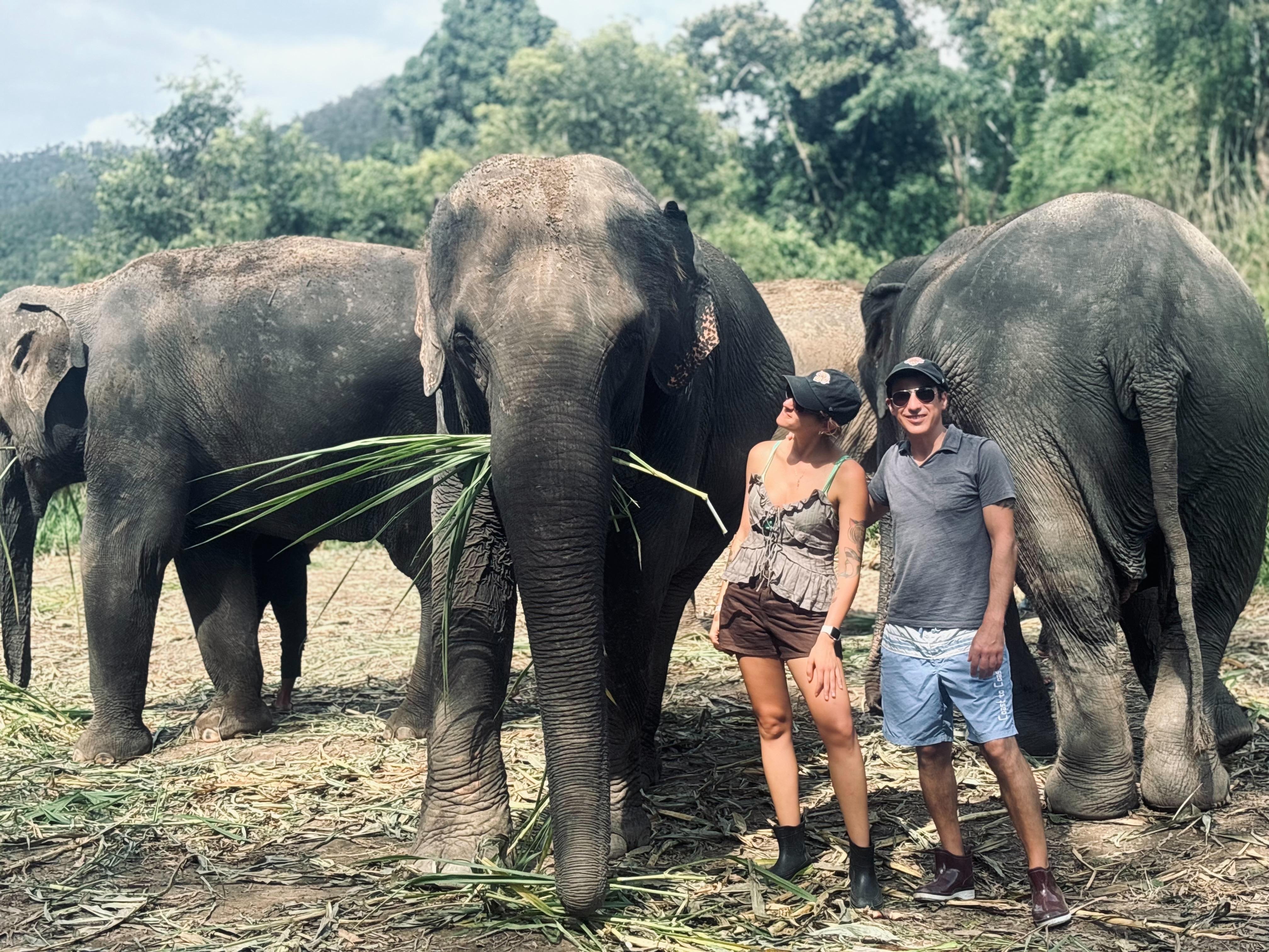 Elephant Sanctuary and Cooking Class — image 22
