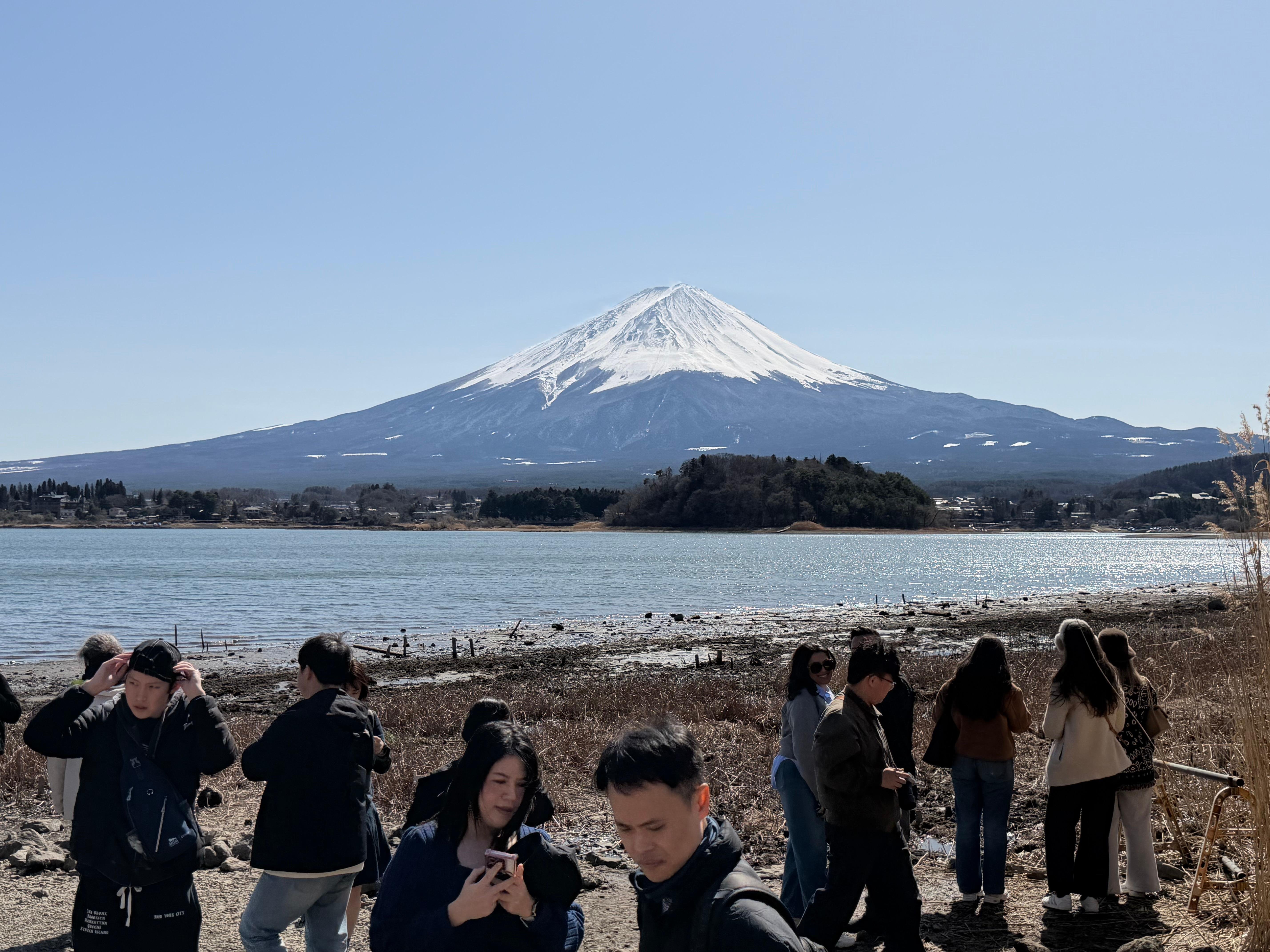 Tokyo to Mt. Fuji & Hakone: Private Full-Day Tour with English Driver