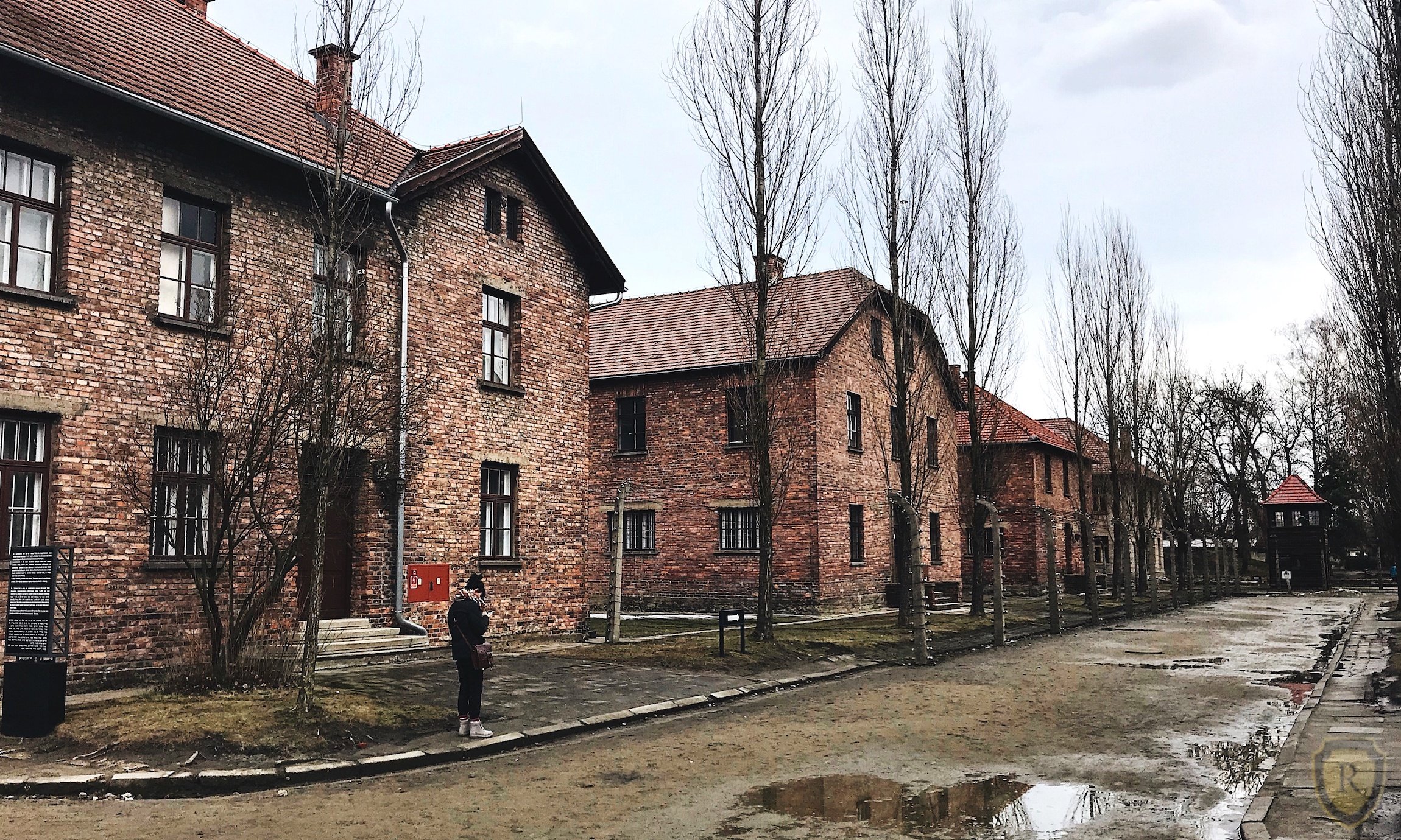 memorial tour in Auschwitz-Birkenau — photo 15