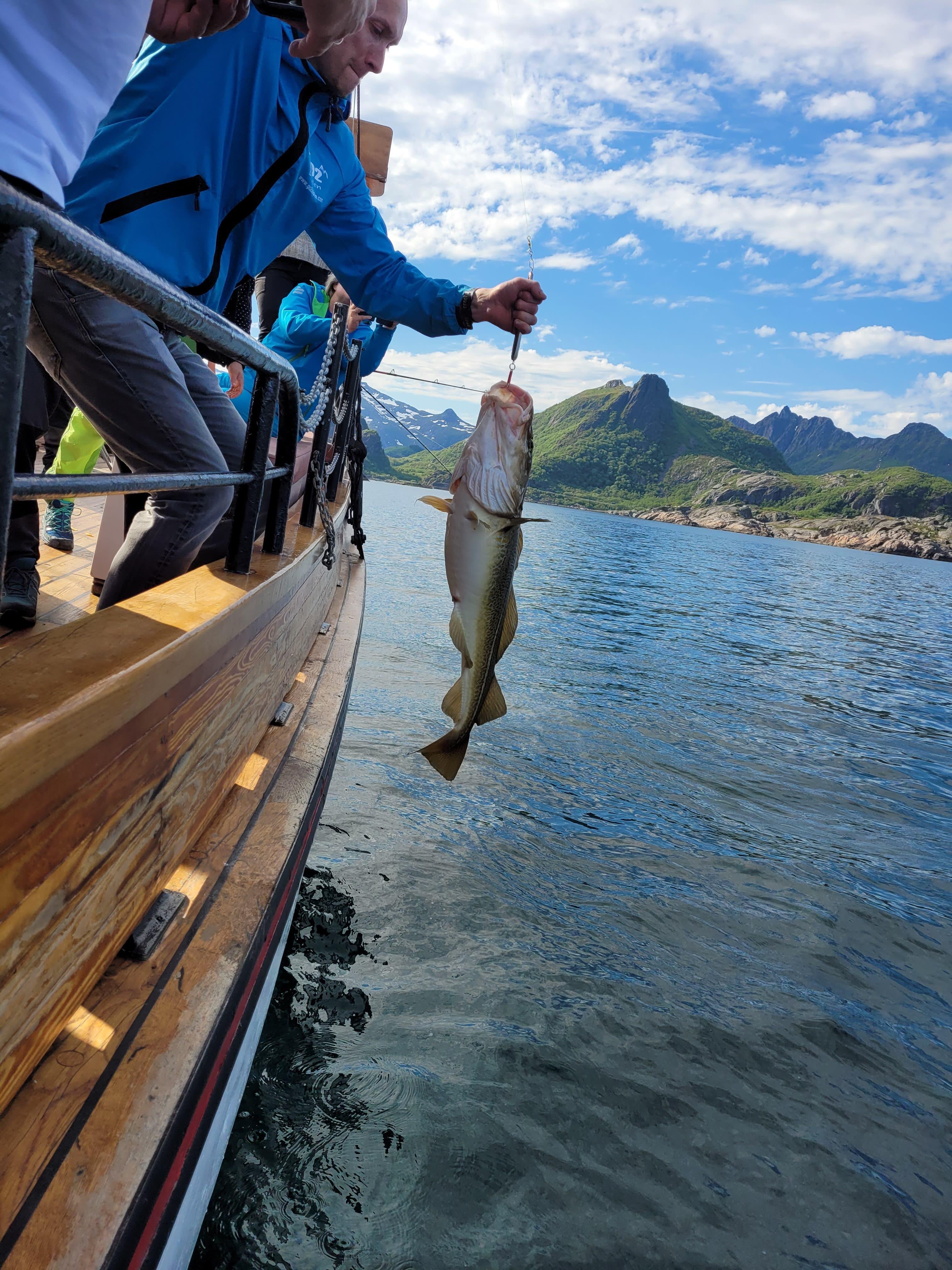 Lofoten Fishing Boat Adventure from Svolvær