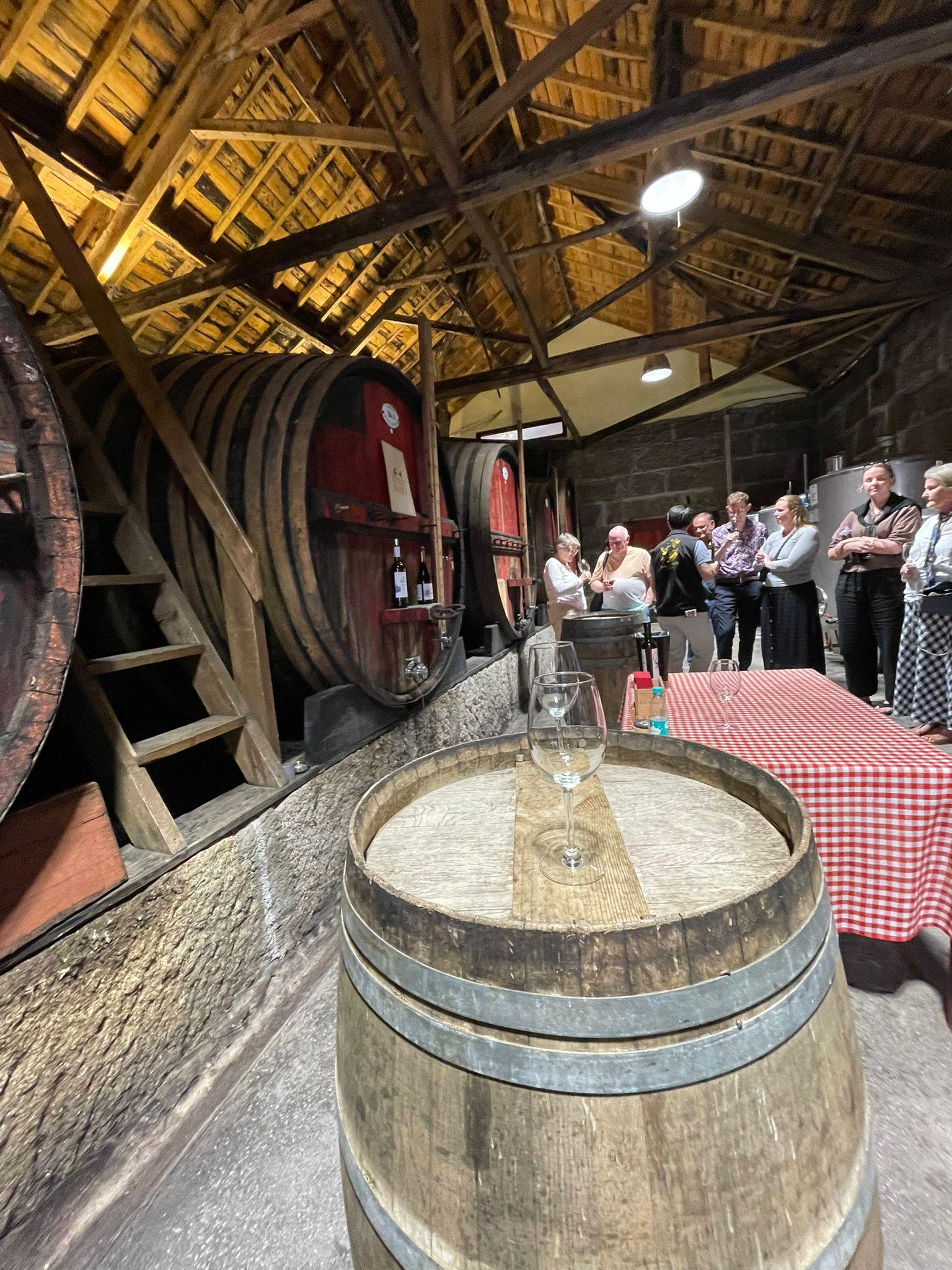 Douro Valley Small-Group Wine & Boat Tour from Porto
