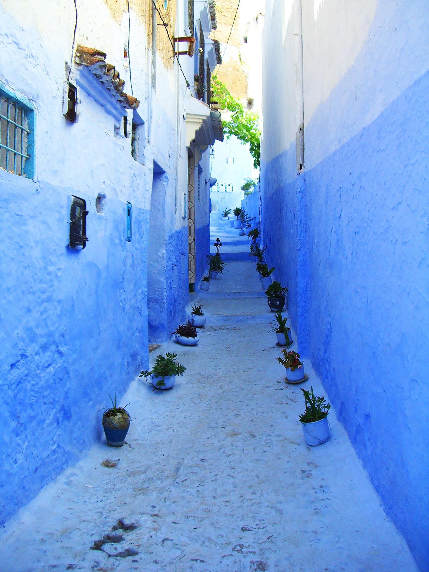 Chefchaouen Day Trip from Casablanca