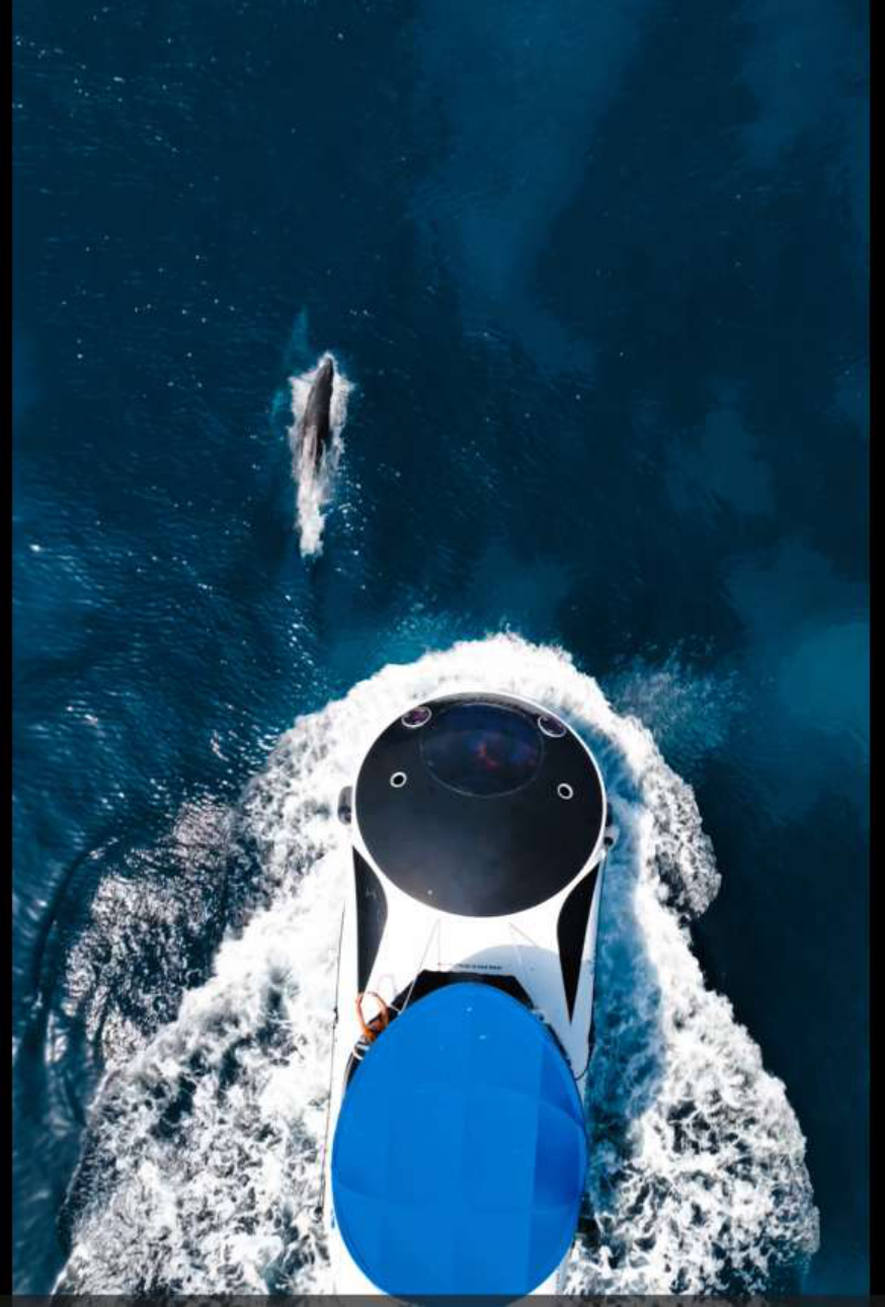Ajaccio Hydrofoil Cruise with Submarine Viewing Pod