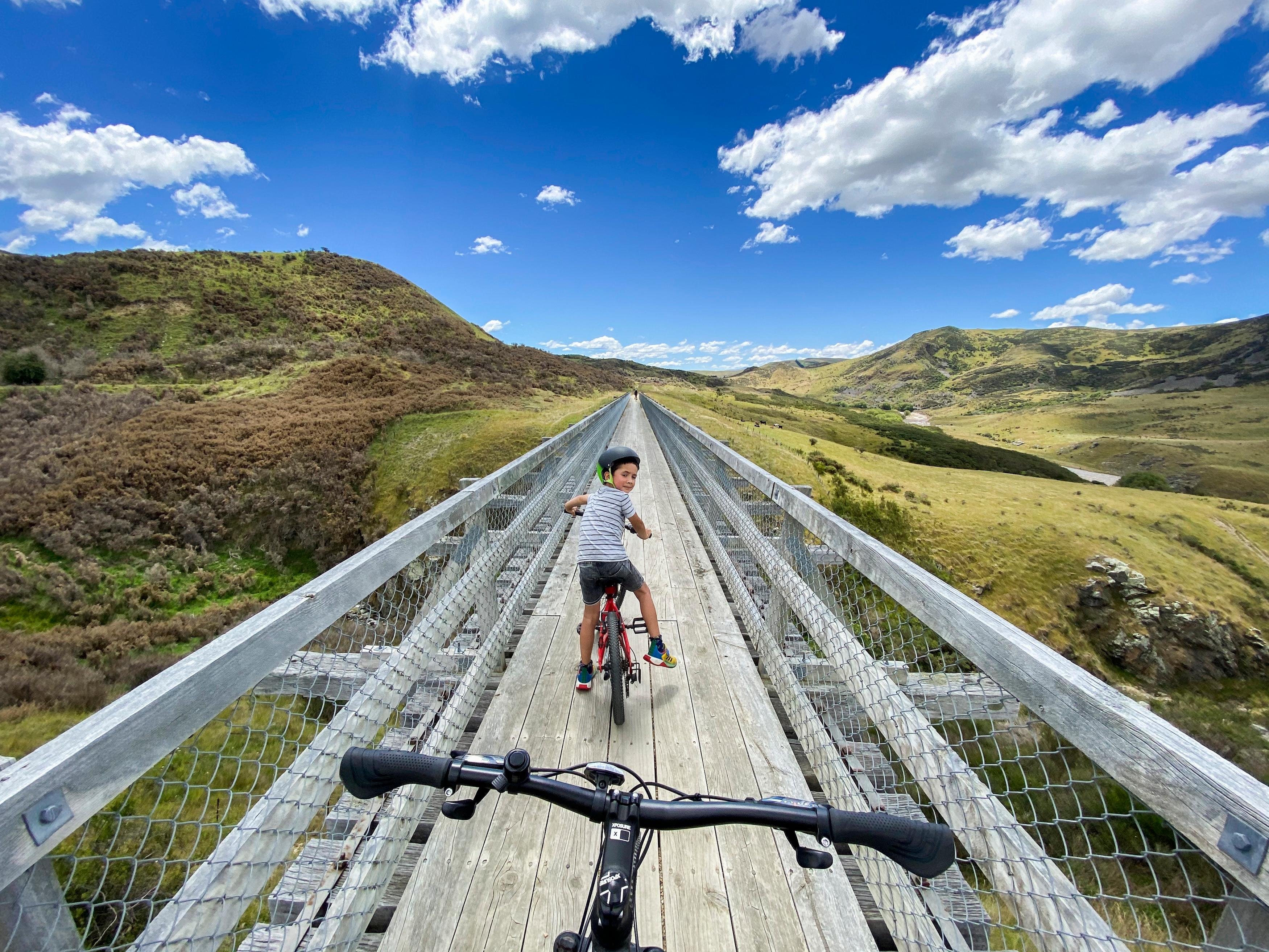 South Island guided tour photo — image 4