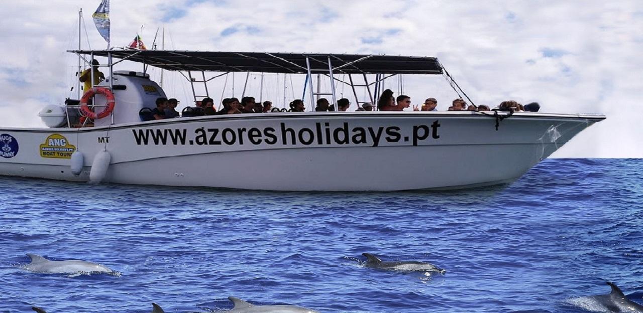 Azores Whale and Dolphin Watching Boat Tour from Ponta Delgada