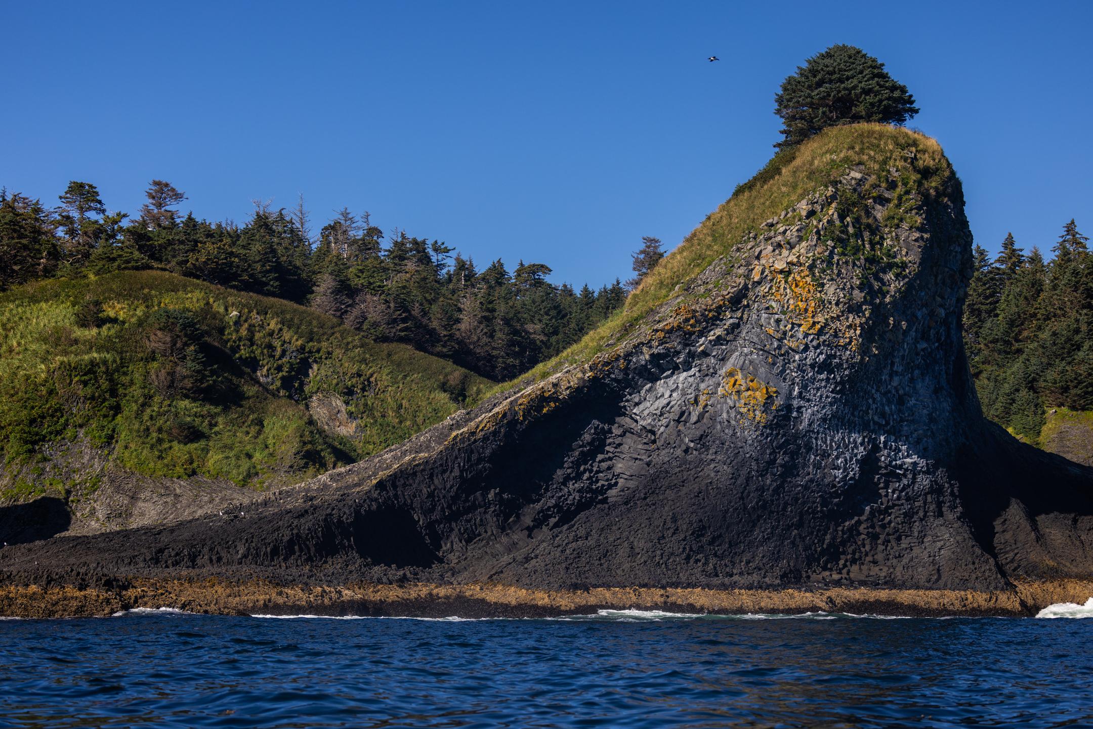whale watching in Sitka — photo 6
