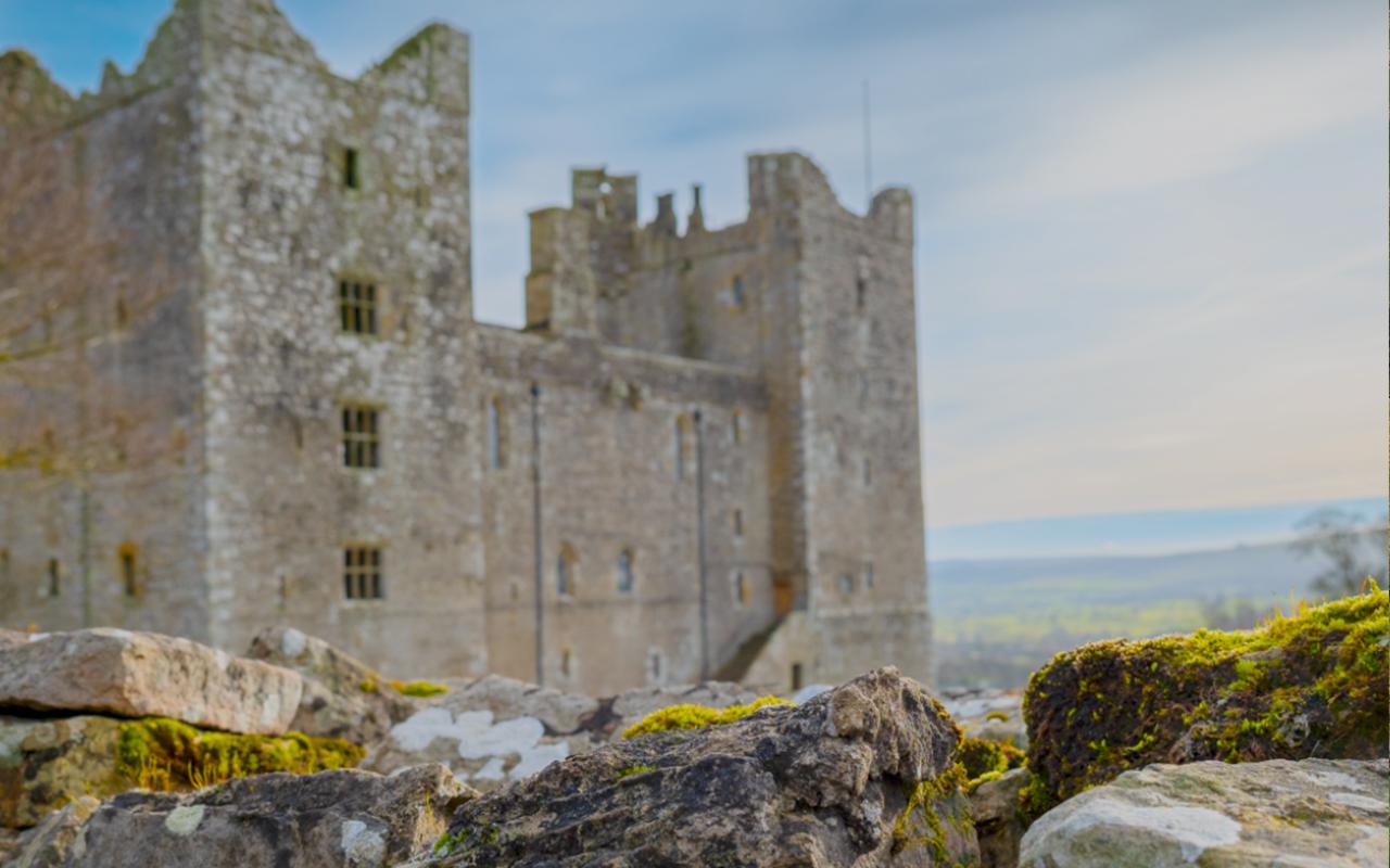 York: "All Creatures Great and Small" Yorkshire Dales Tour - 2026 (Verified Reviews)