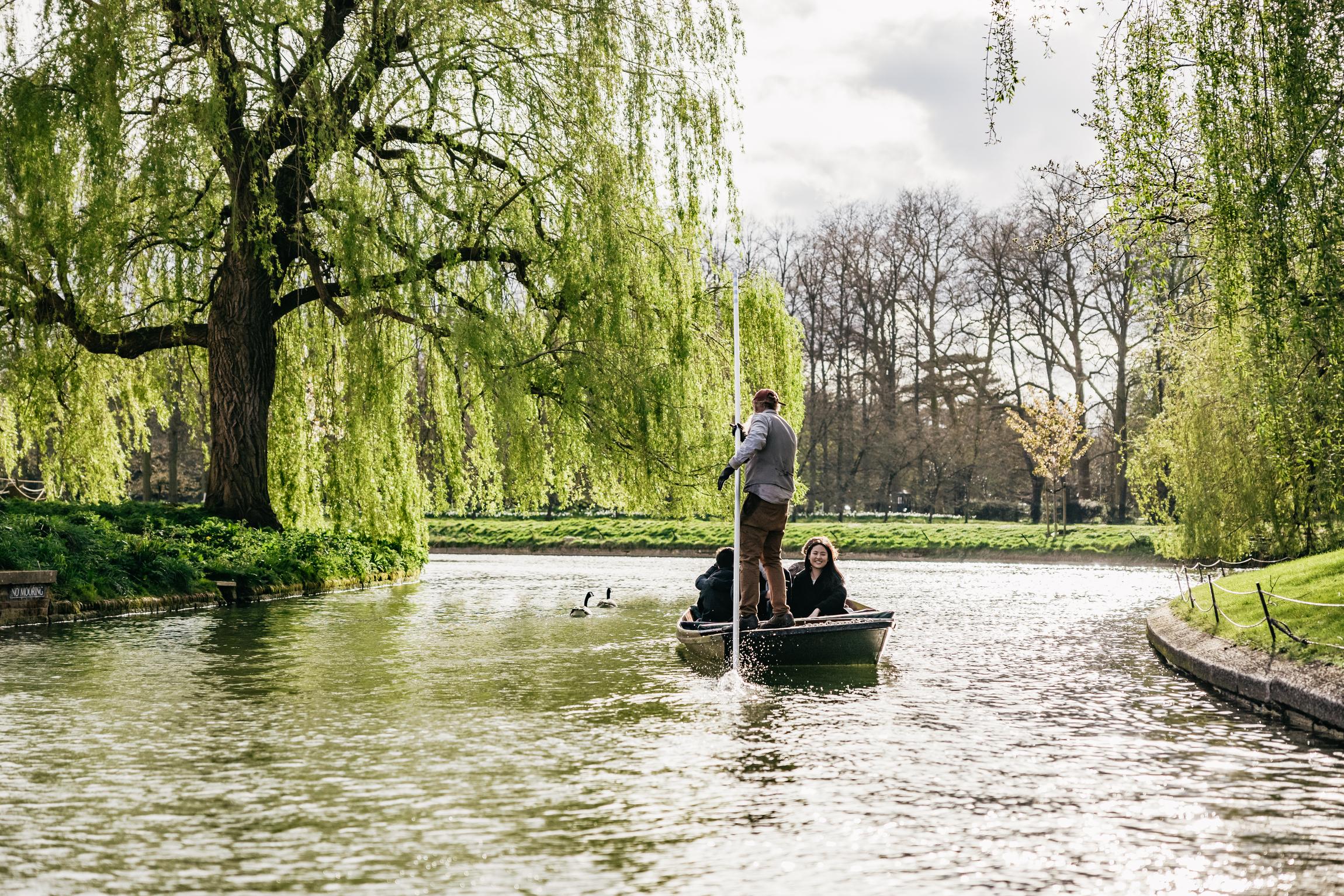 Punting tour in Cambridge — image 10