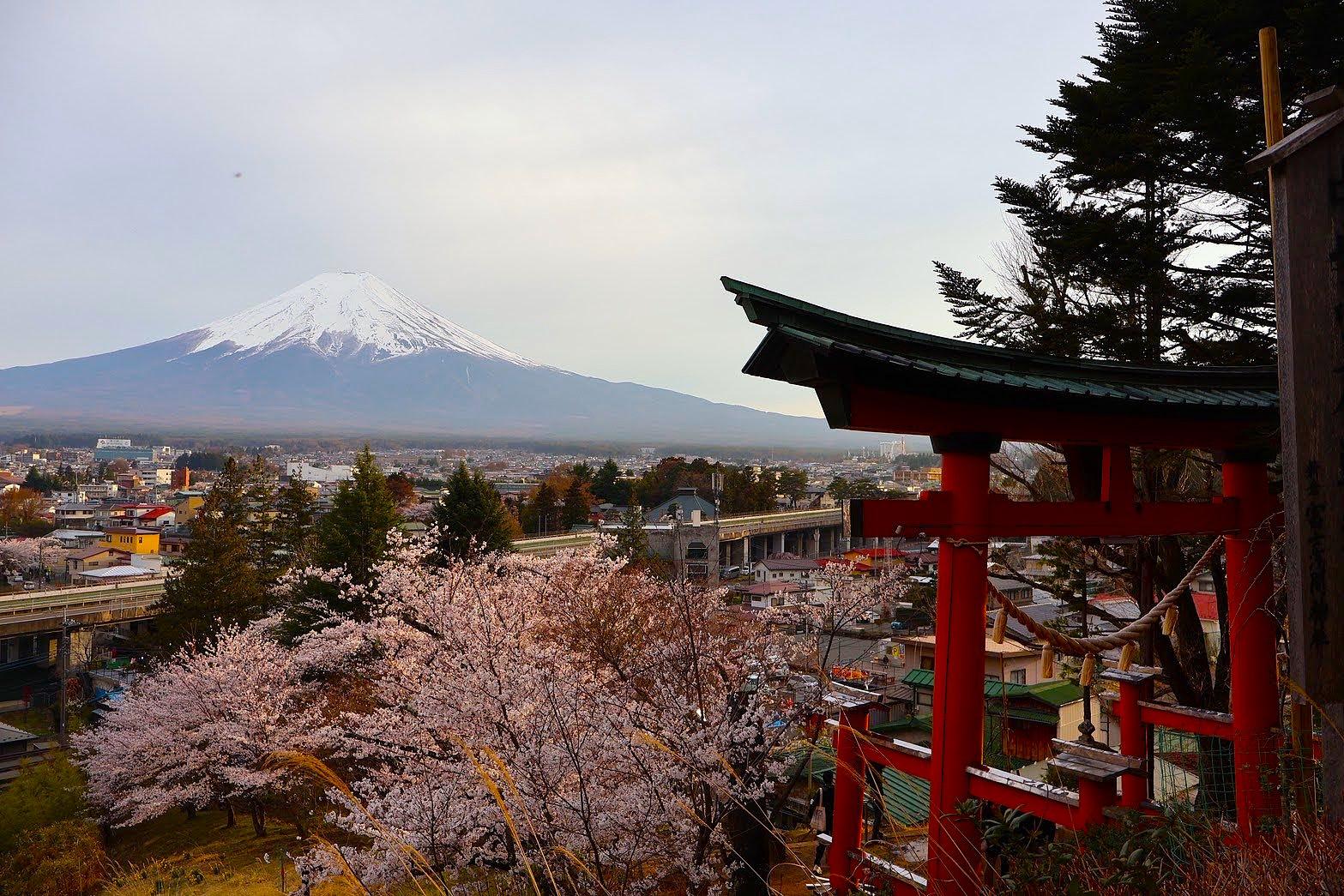 Private Mt. Fuji & Lake Kawaguchi Half-Day Excursion