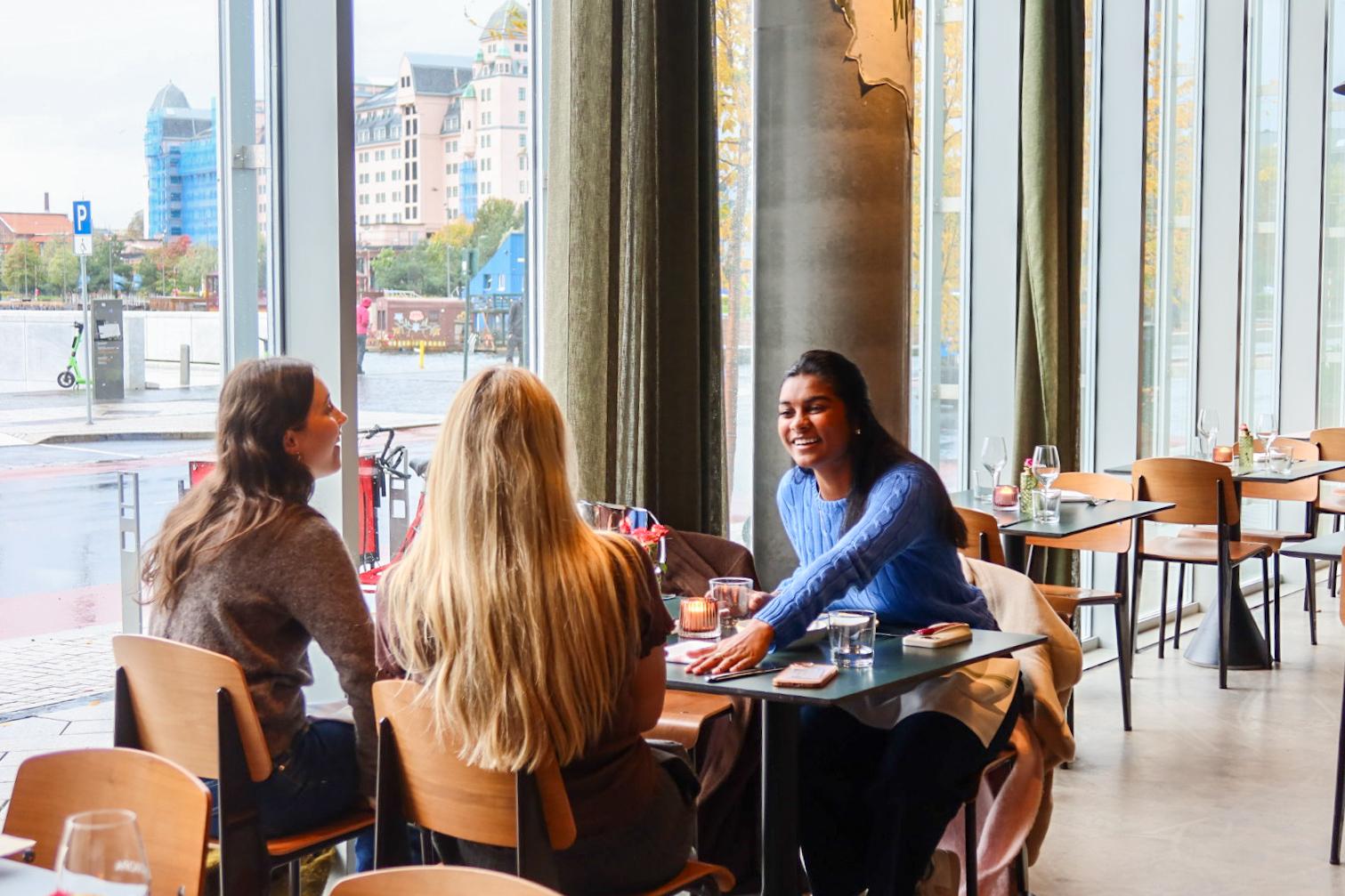Oslo Walking Tour with Traditional Norwegian Dinner