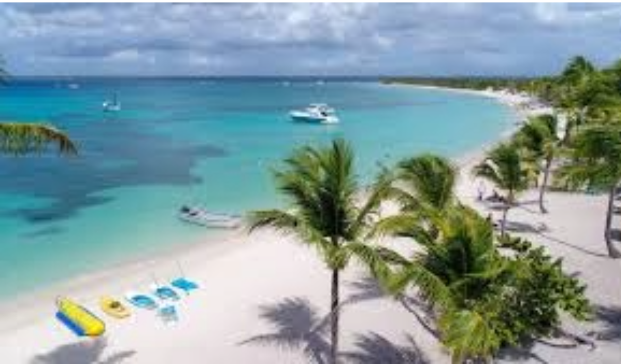 Private Catalina Island Snorkeling & Beach Escape from La Romana