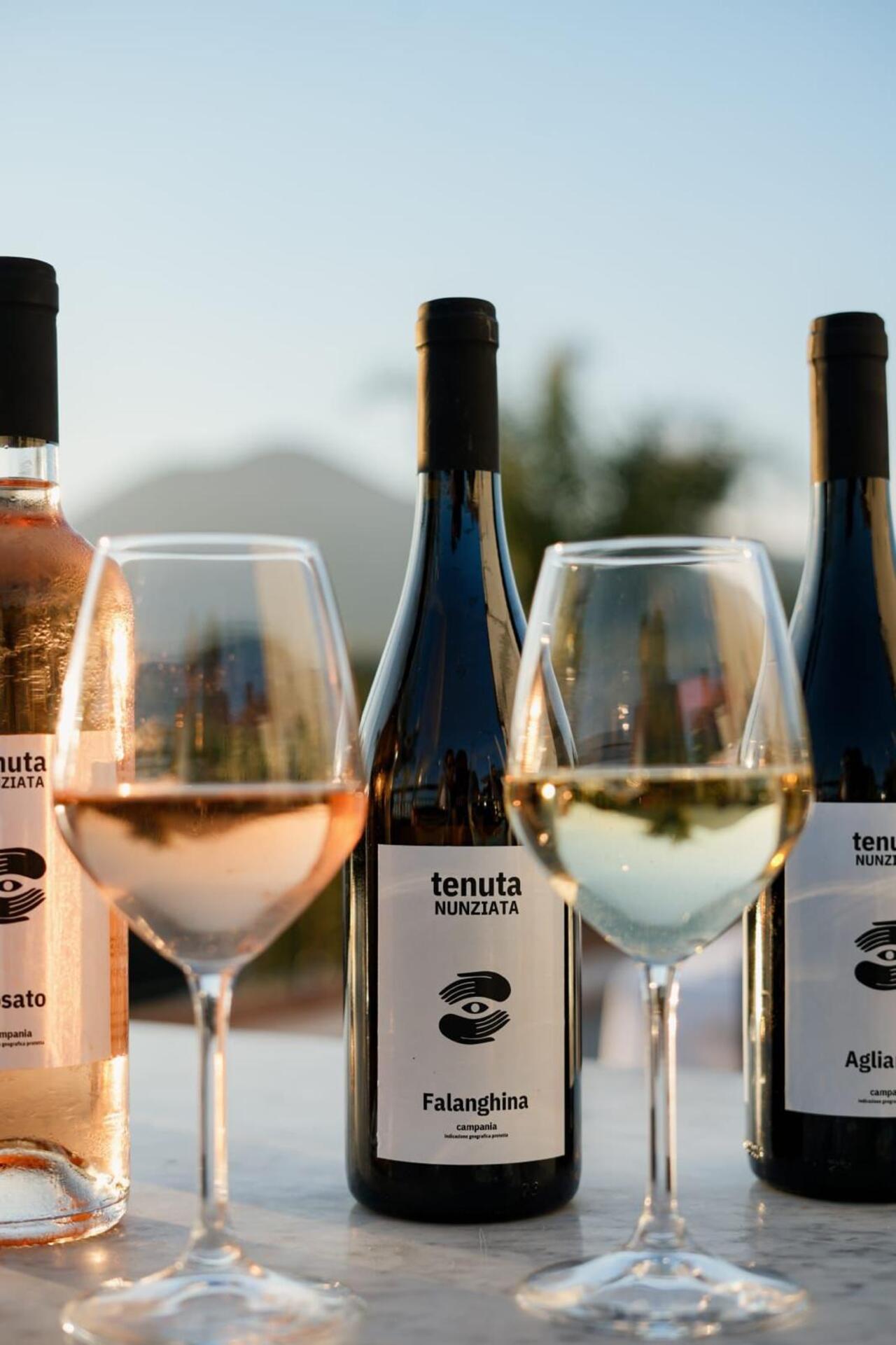 Pompeii Discovery: Ancient Ruins, Wine Tasting, and Lunch