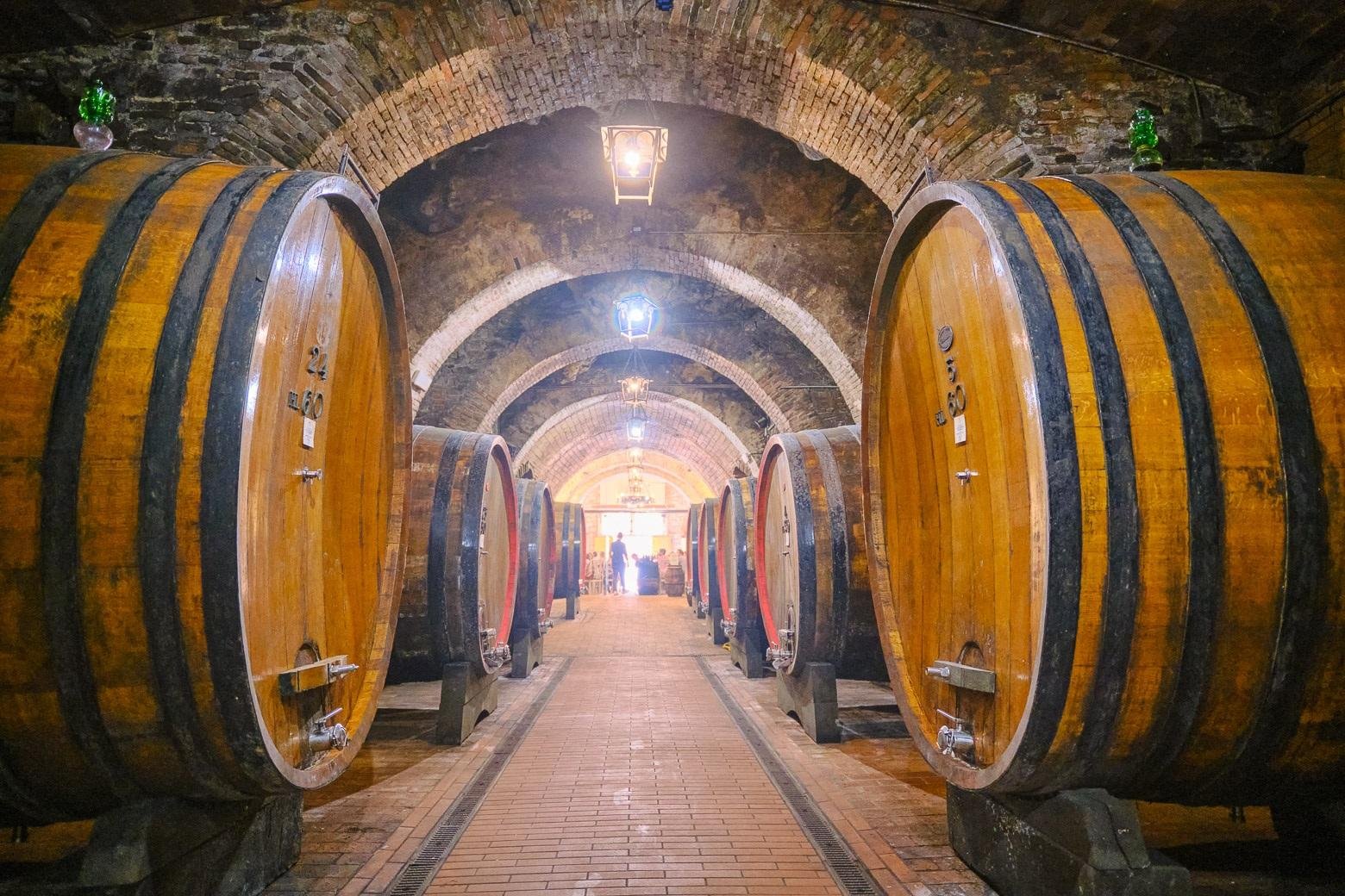 wine tour in Montalcino — photo 19