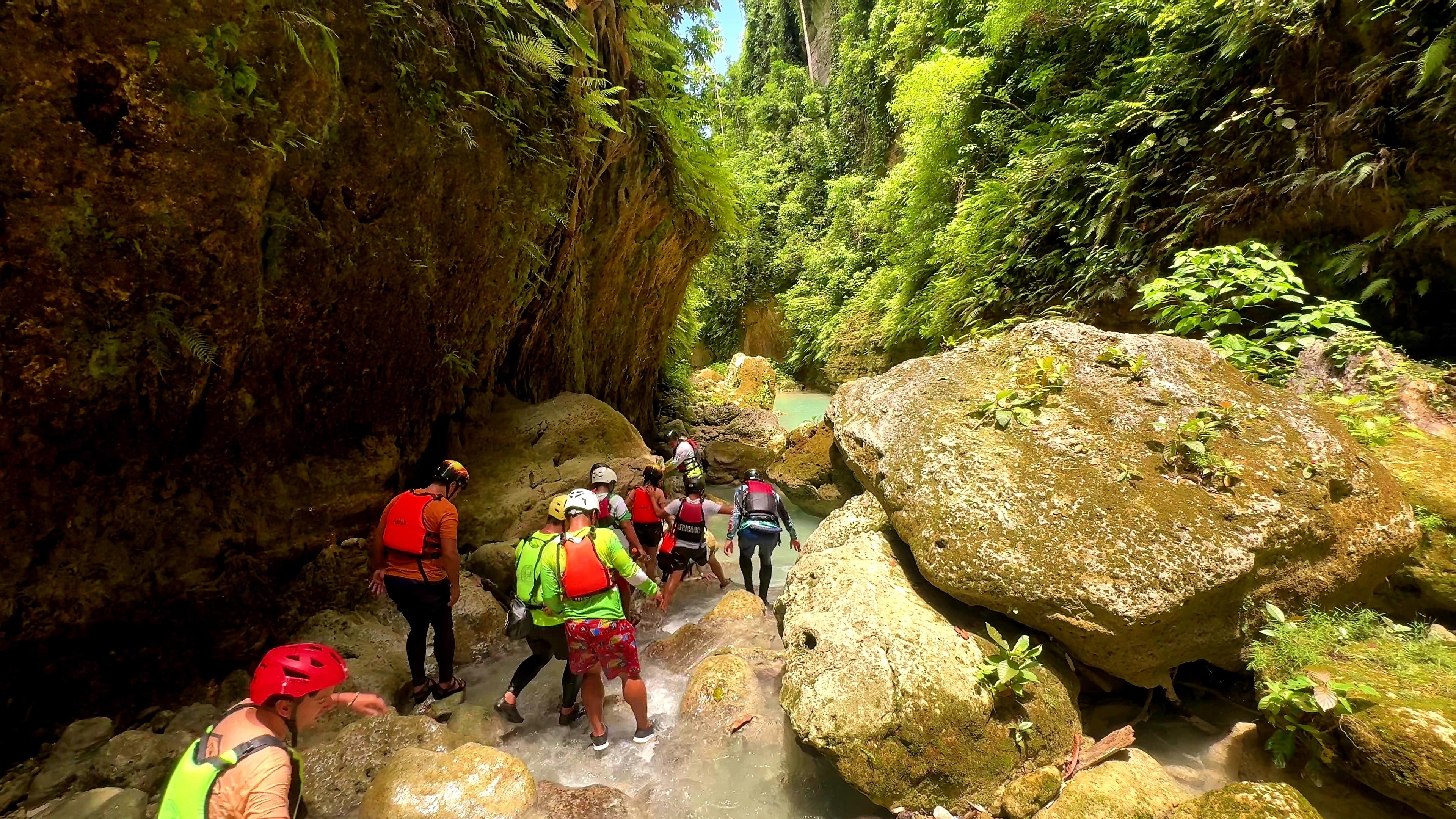 Cebu: Whale Shark Swim & Kawasan Falls Canyoneering Day Tour