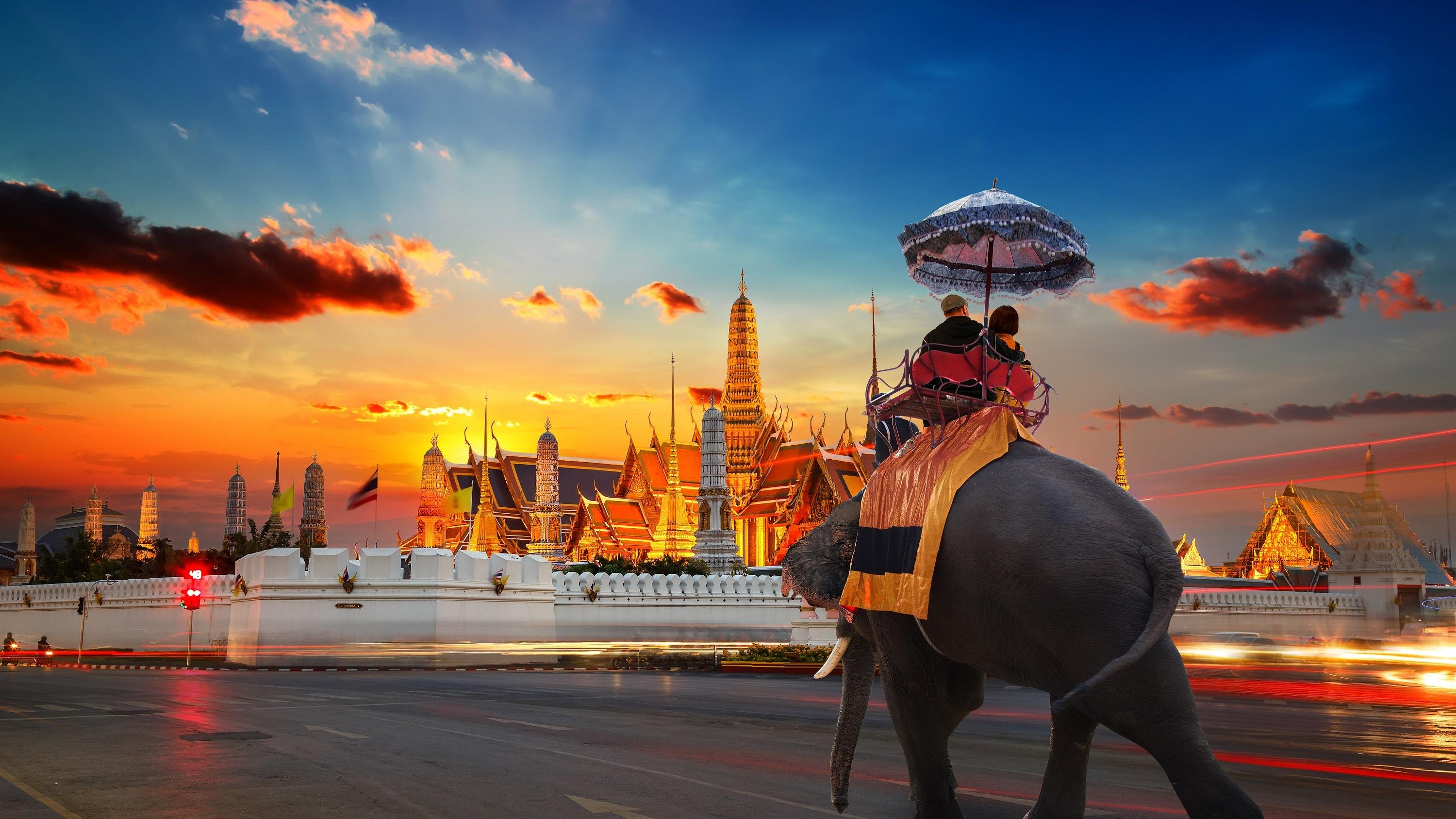 Private Bangkok–Pattaya Transfer: Sedan, MPV & Van Options