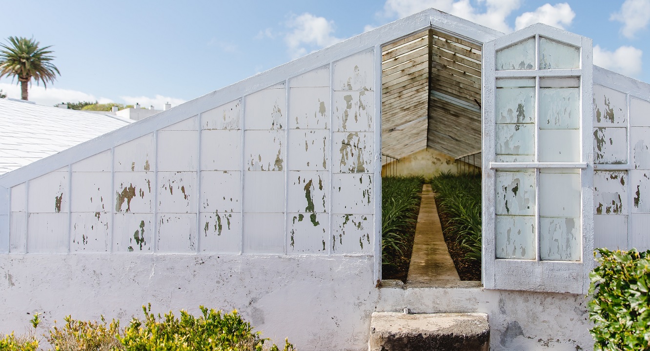 wine tour in Azores — photo 4