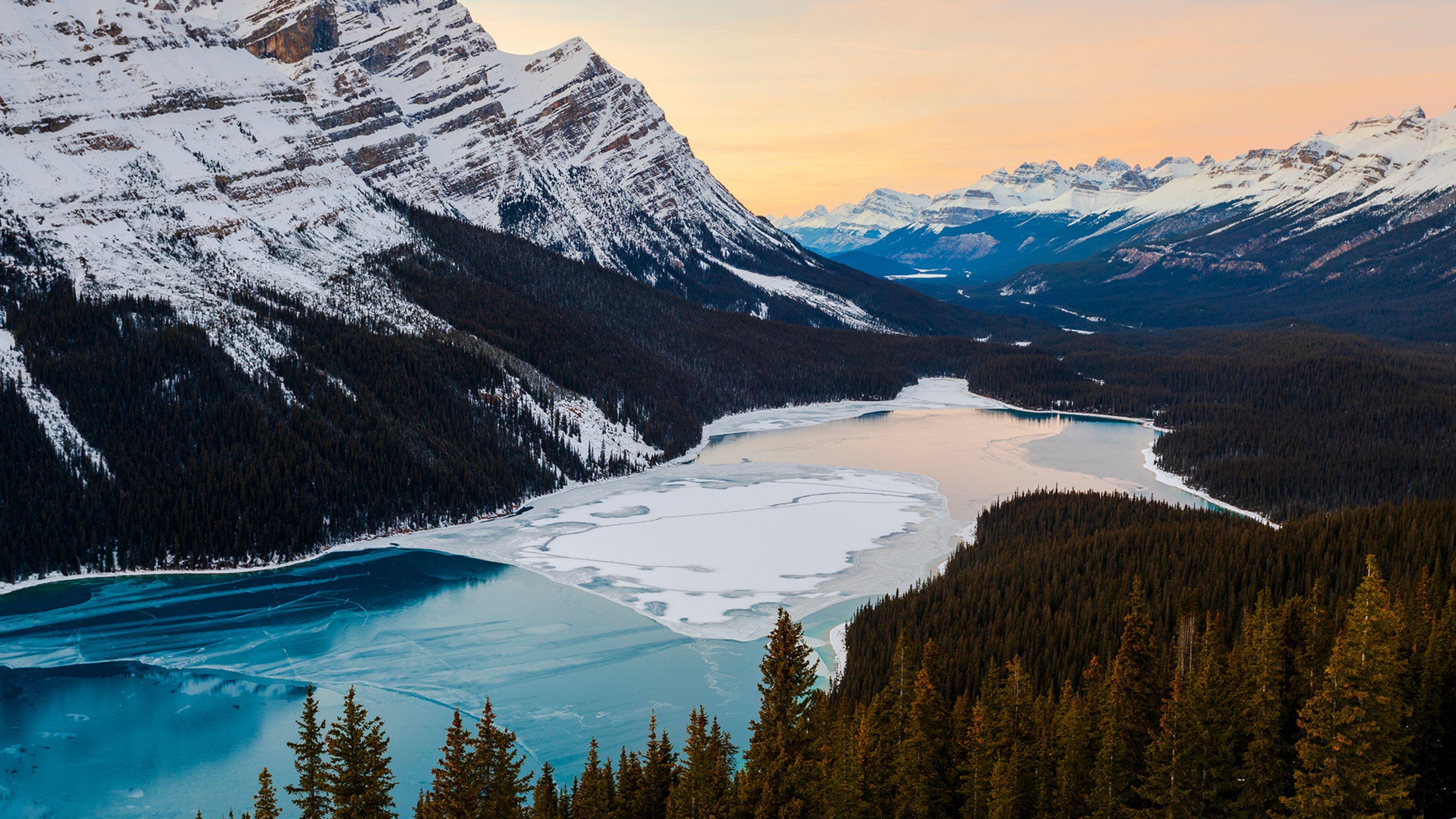 Peyto Lake tour — turquoise glacial lake from Bow Summit, Icefields Parkway, Alberta — image 12