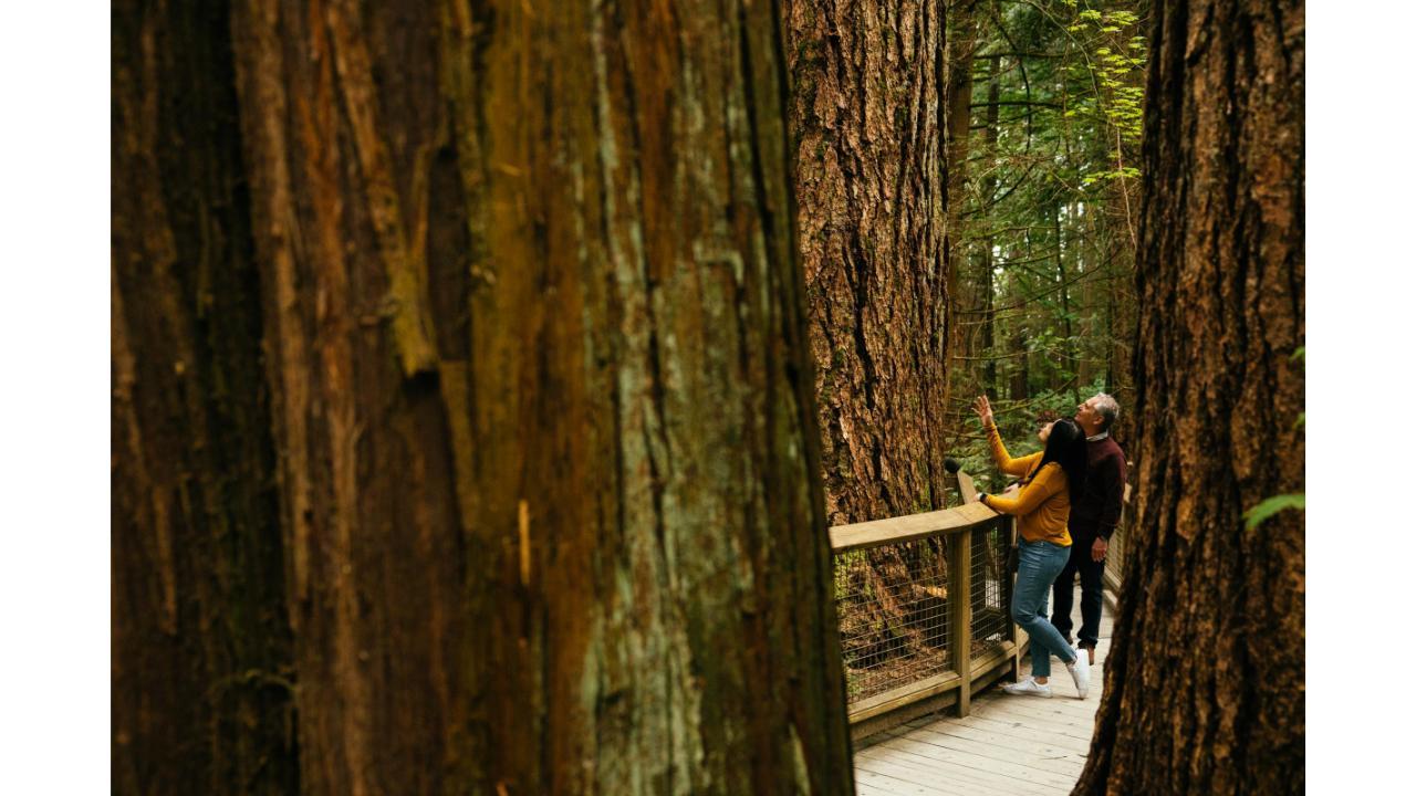 Capilano Suspension Bridge Park Entry