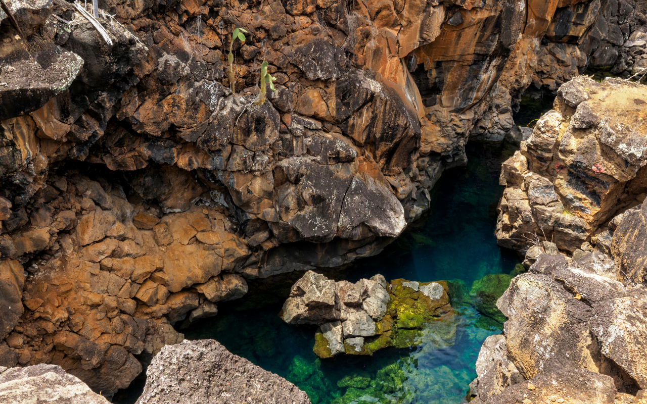 Santa Cruz Bay & Las Grietas Sea Adventure