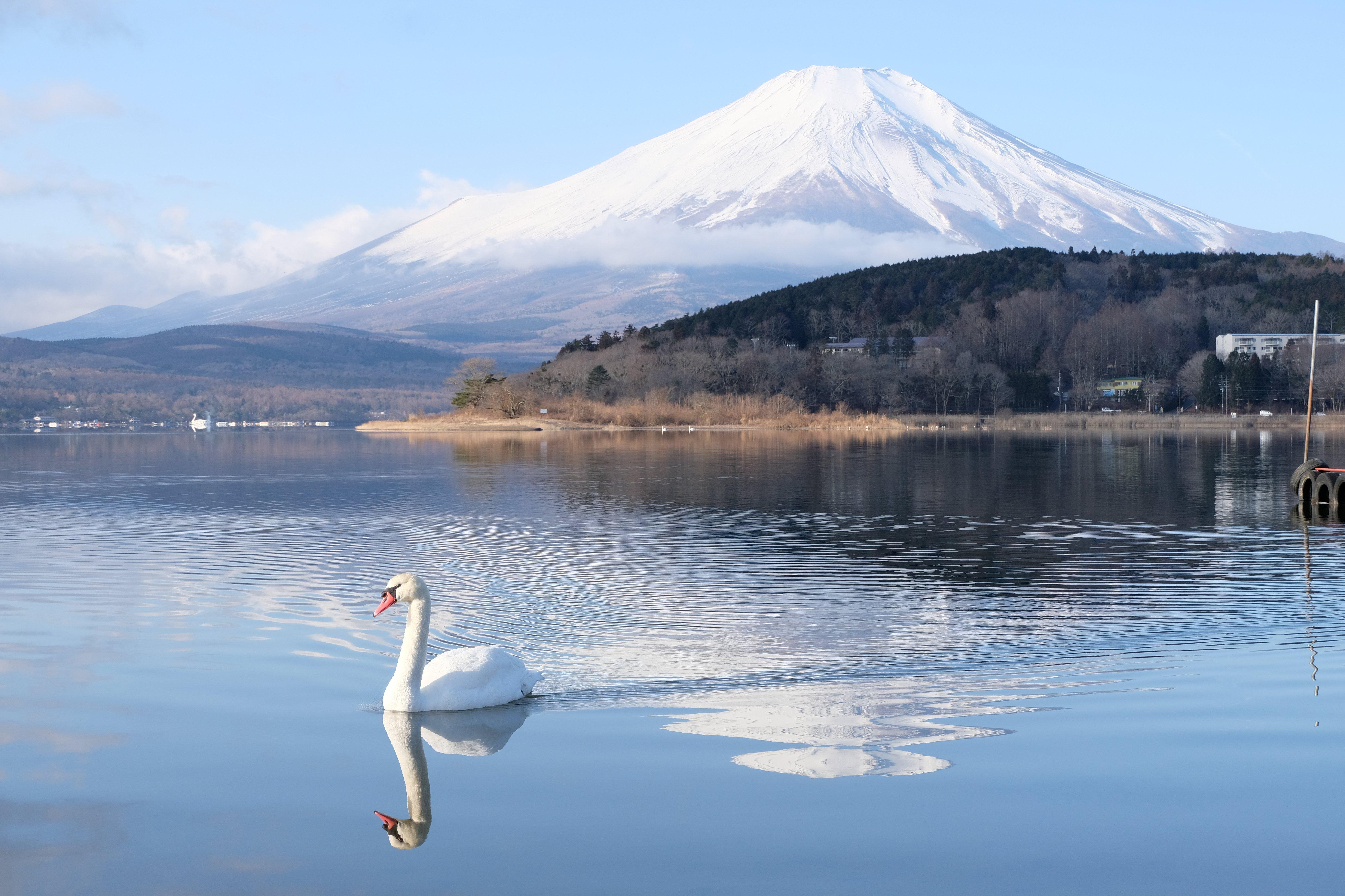 Mount Fuji Full-Day Tour from Tokyo: Two Routes, One Iconic Mountain