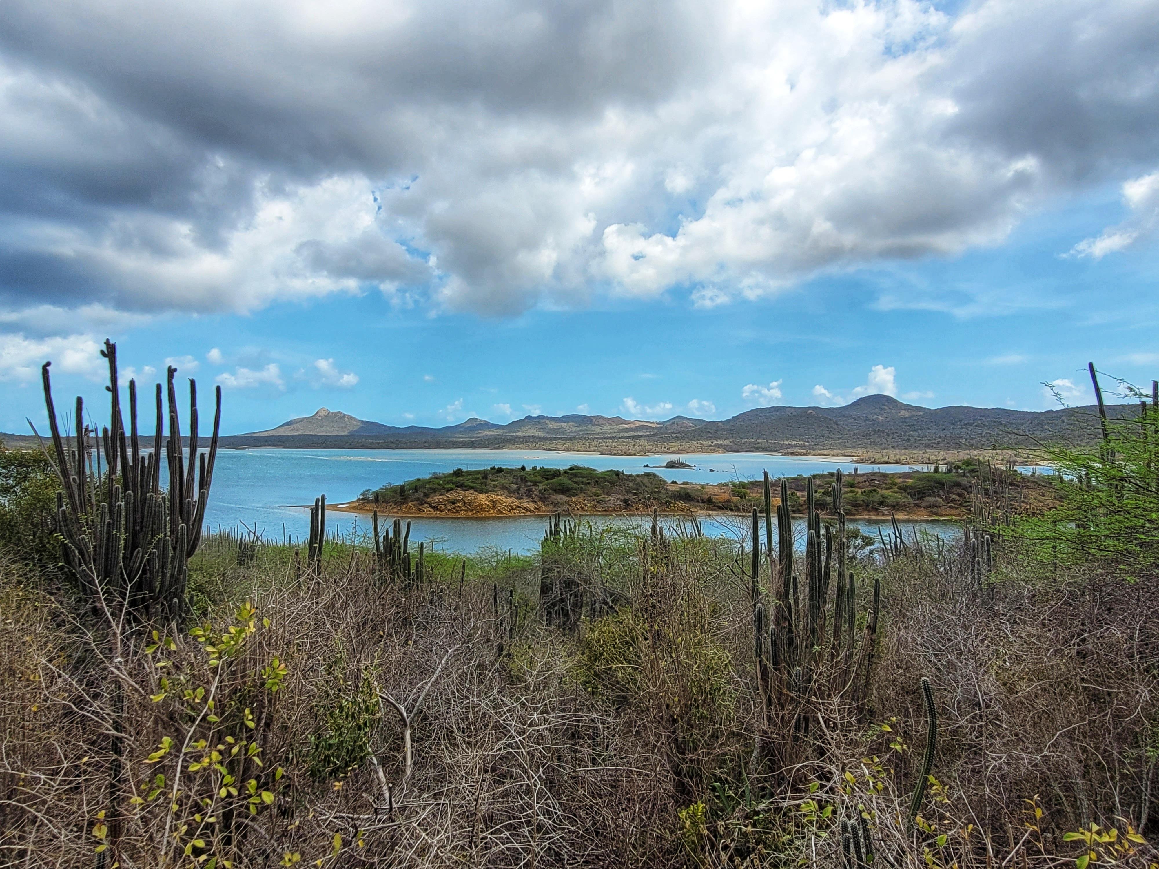 Full-Day Private Bonaire Island Discovery