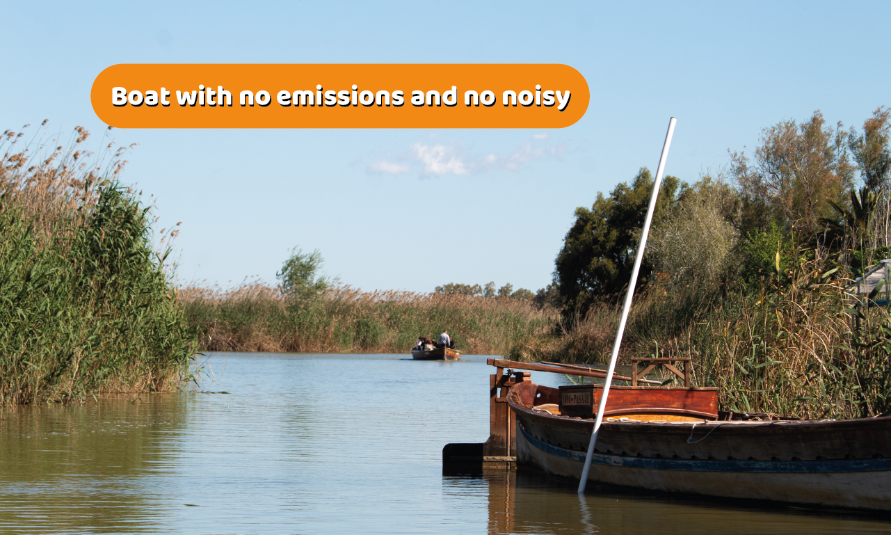 Albufera Natural Park Eco-Tour and Sunset Cruise from Valencia
