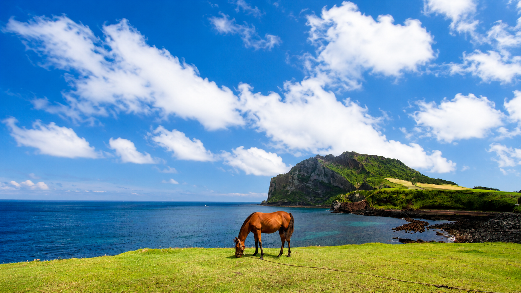 Jeju Full-Island UNESCO Tour