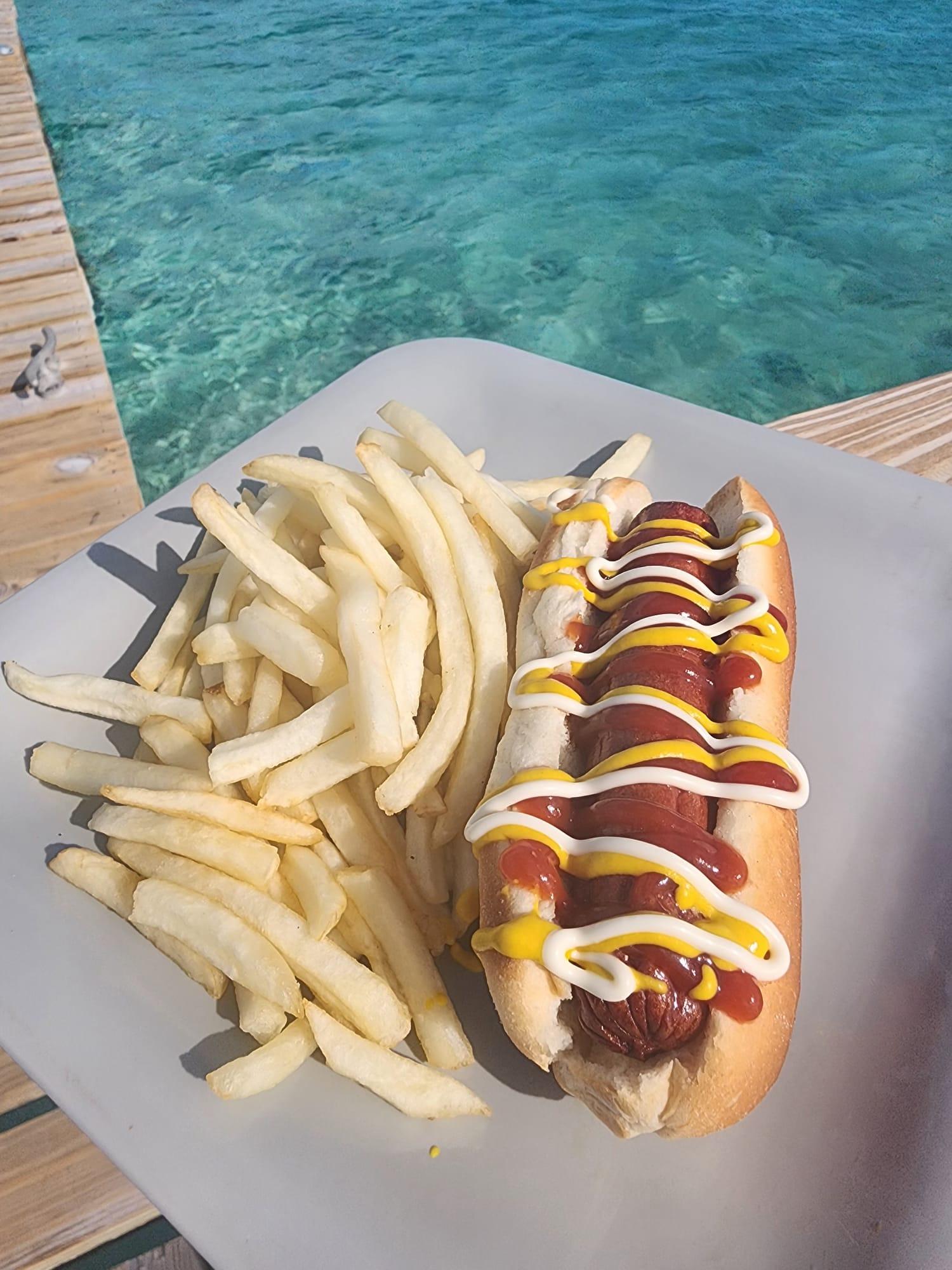 Nassau 3-Island Speedboat Adventure: Pigs, Turtles & Snorkeling