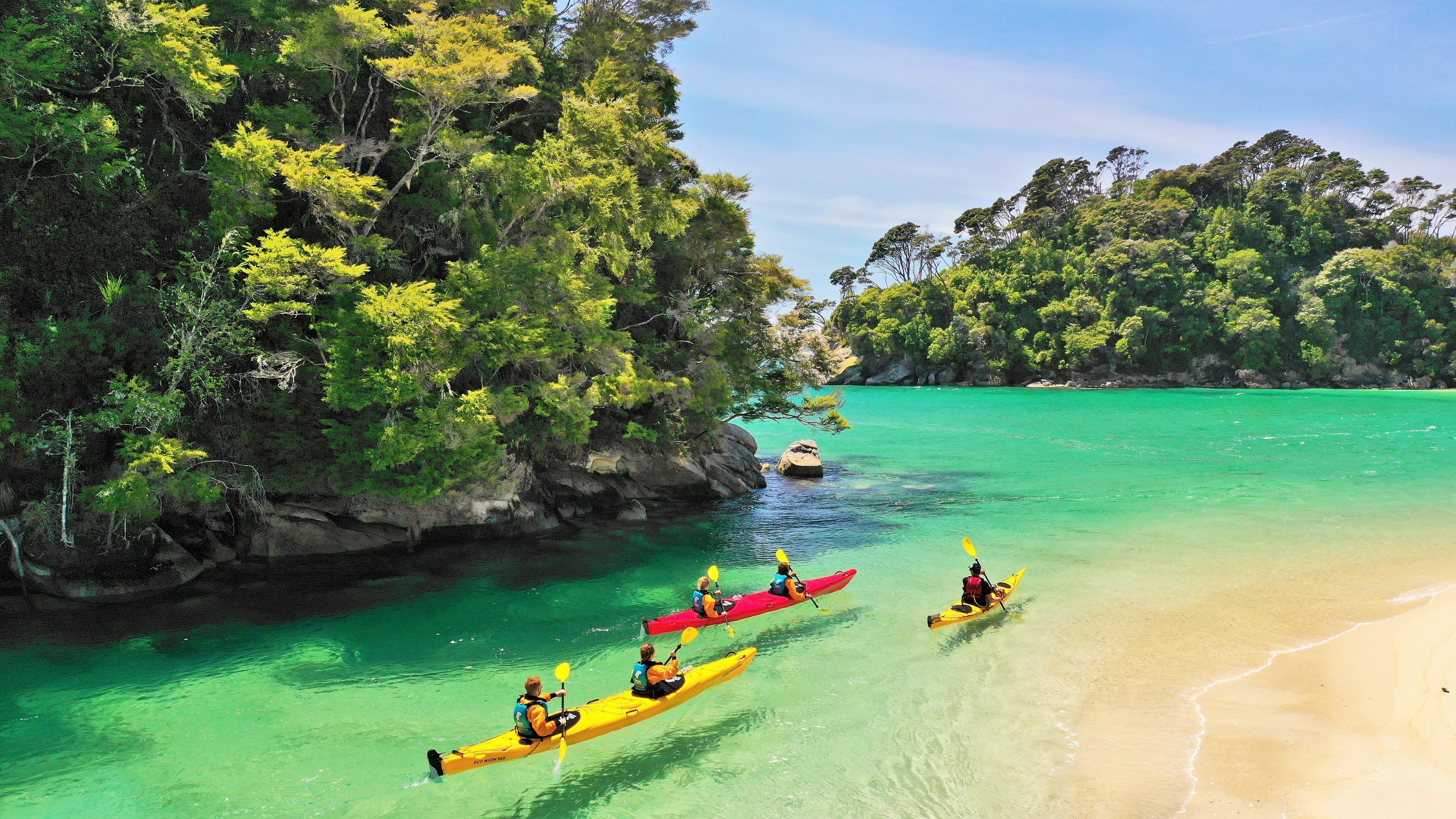 Abel Tasman Kayak & Seal Encounter with Coastal Cruise