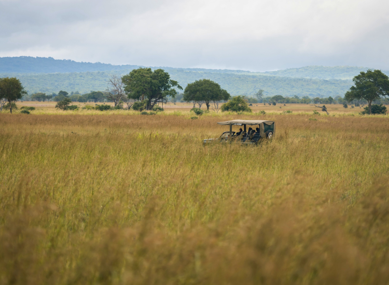 Zanzibar to Mikumi: Fly-In Safari Day Trip by Twin-Engine Plane