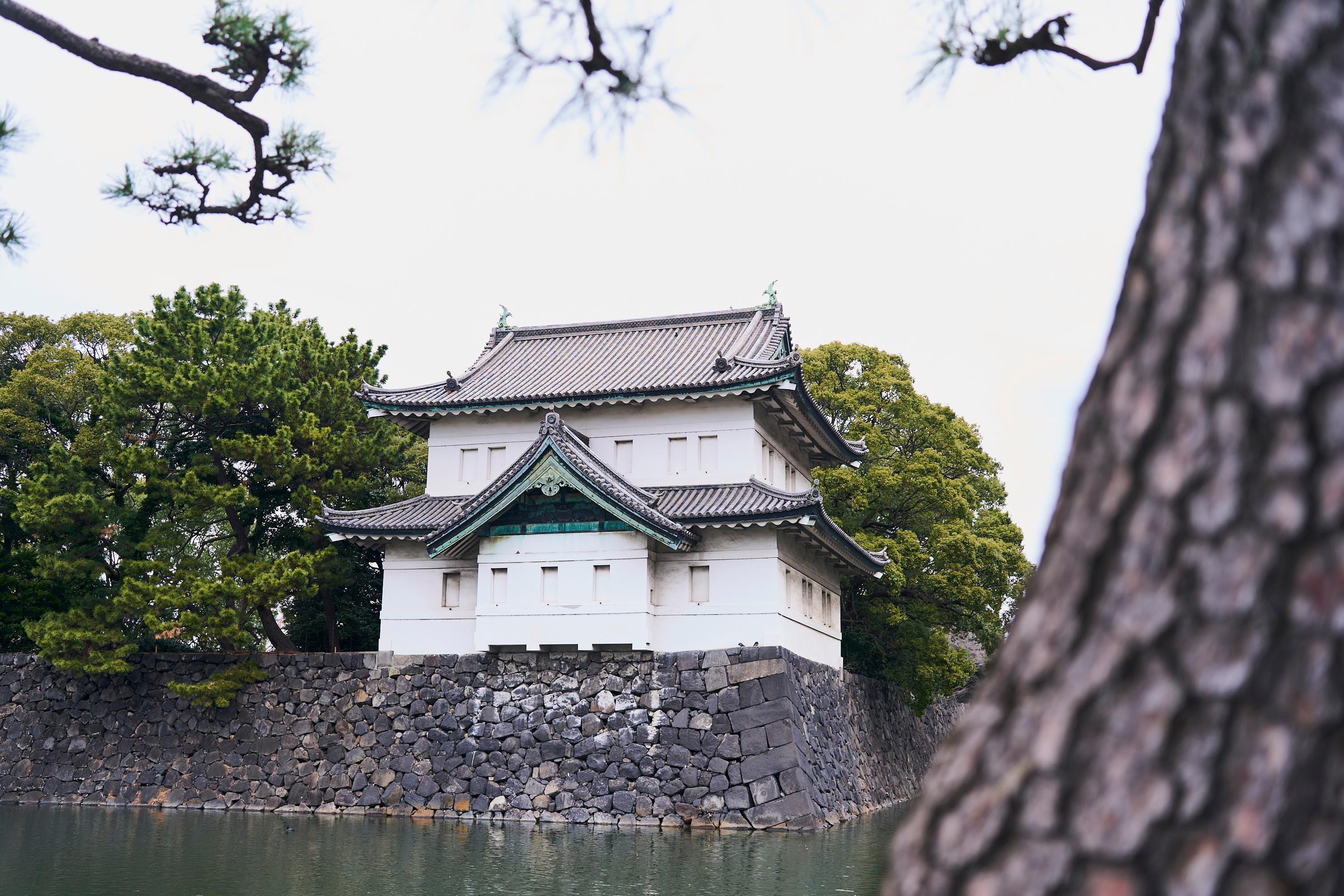 Edo Castle & Imperial Palace Shogun Walking Tour