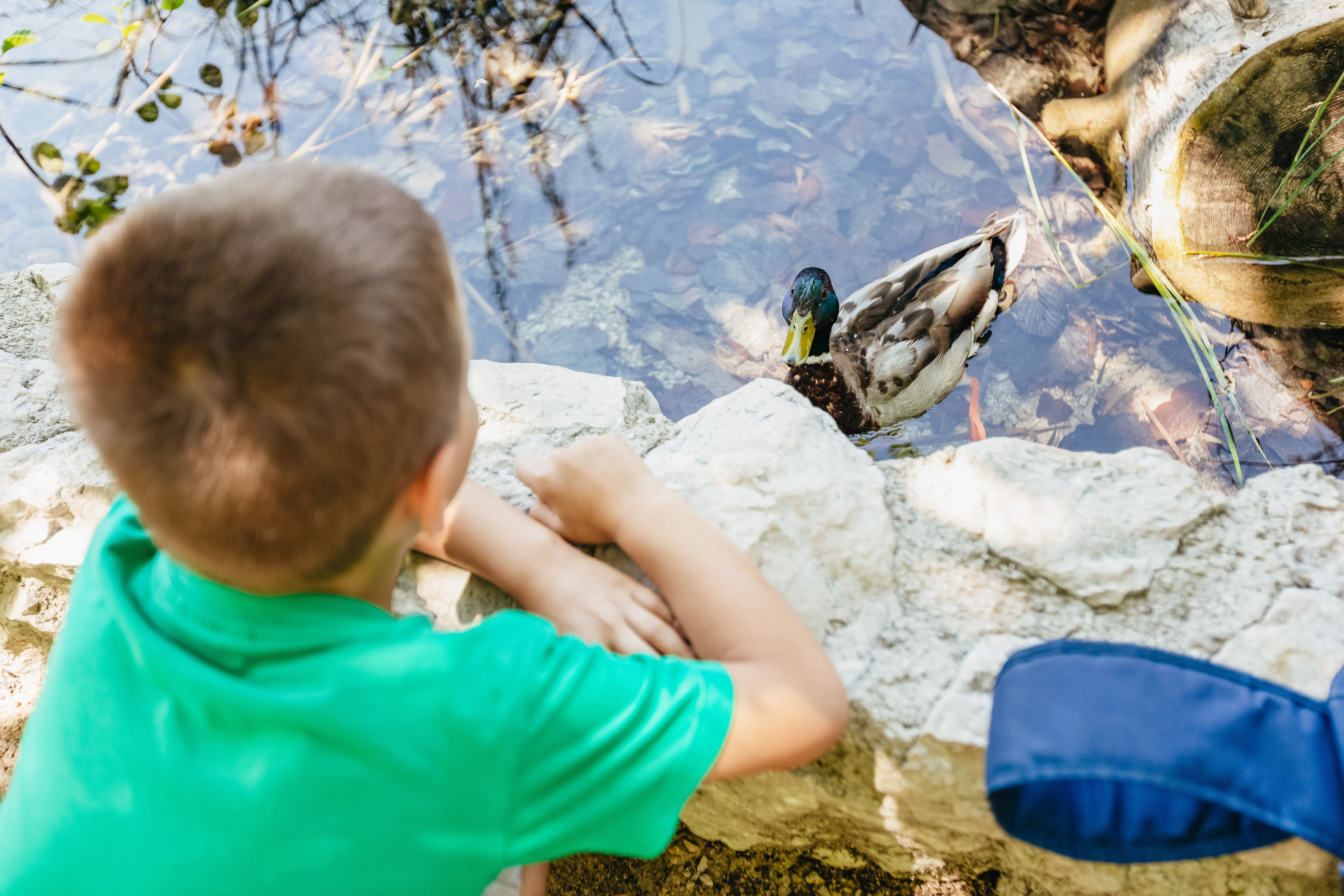 Split to Plitvice Lakes National Park Guided Day Trip