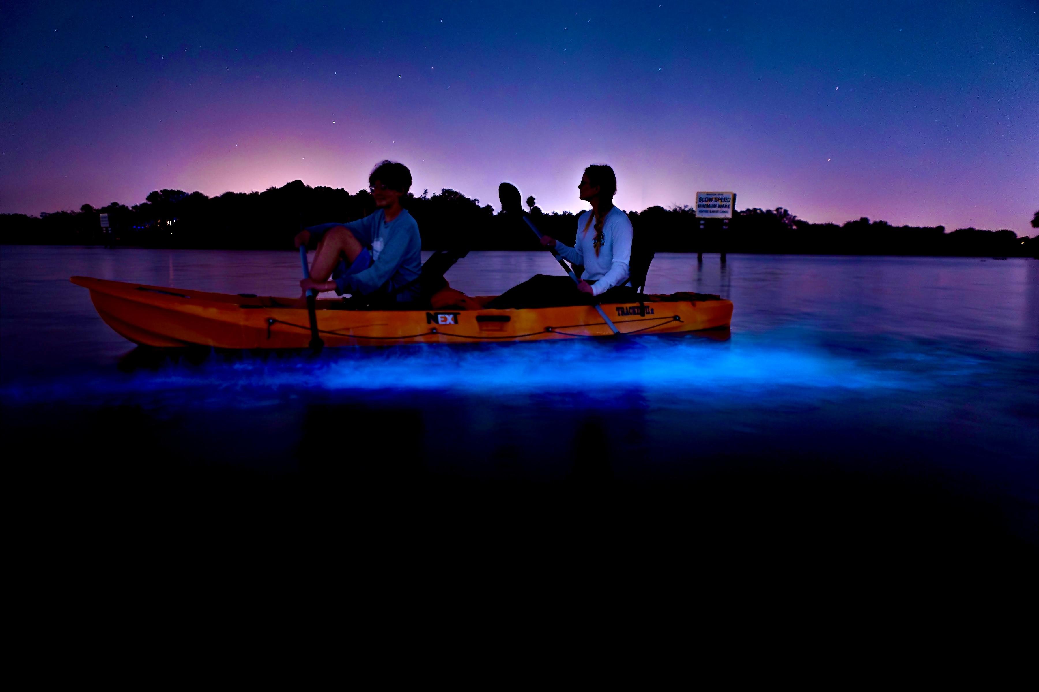Clear Kayak Bioluminescence Adventure