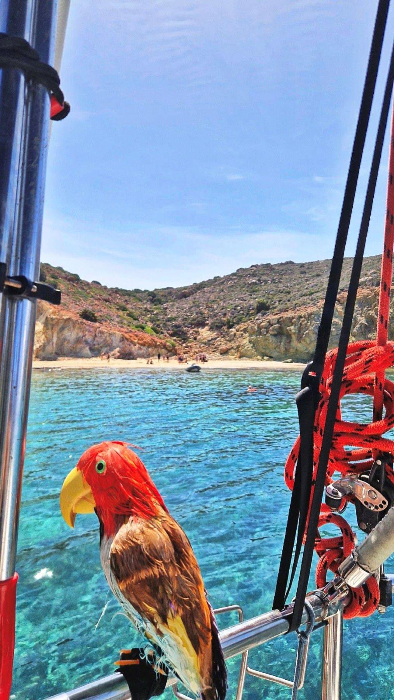 Kleftiko boat tour Milos sea caves arches sailing — image 10