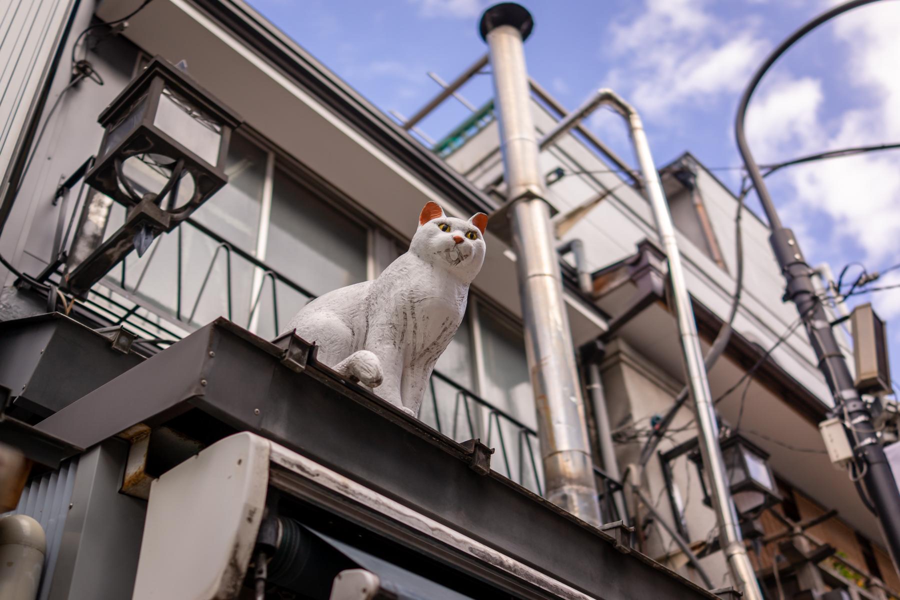 Yanaka & Nezu Hidden Neighborhoods Walking Experience