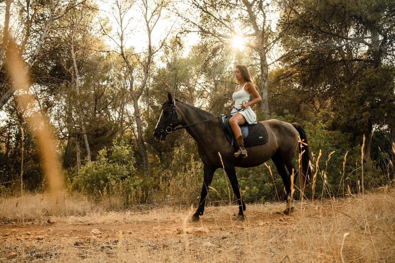 Ibiza Countryside Horseback Riding