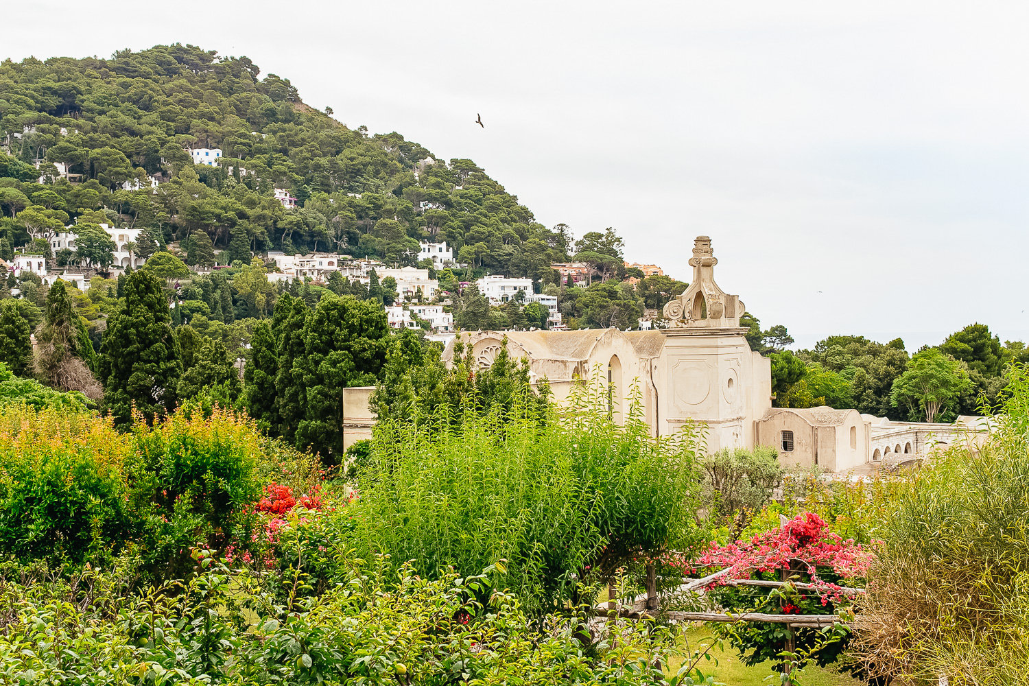 Capri & Blue Grotto Day Trip from Naples