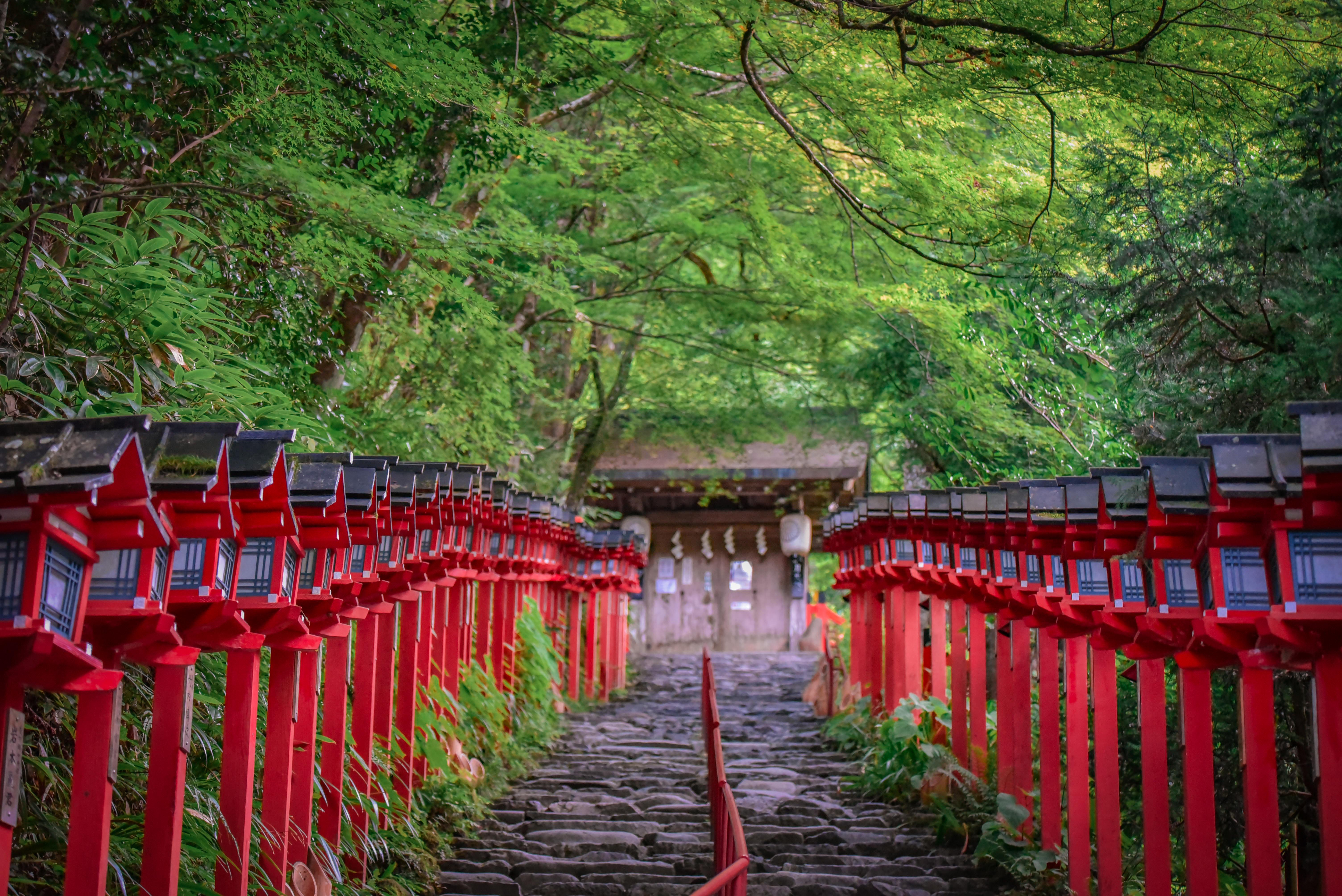 Kyoto Private Day Tour with Guide & Vehicle