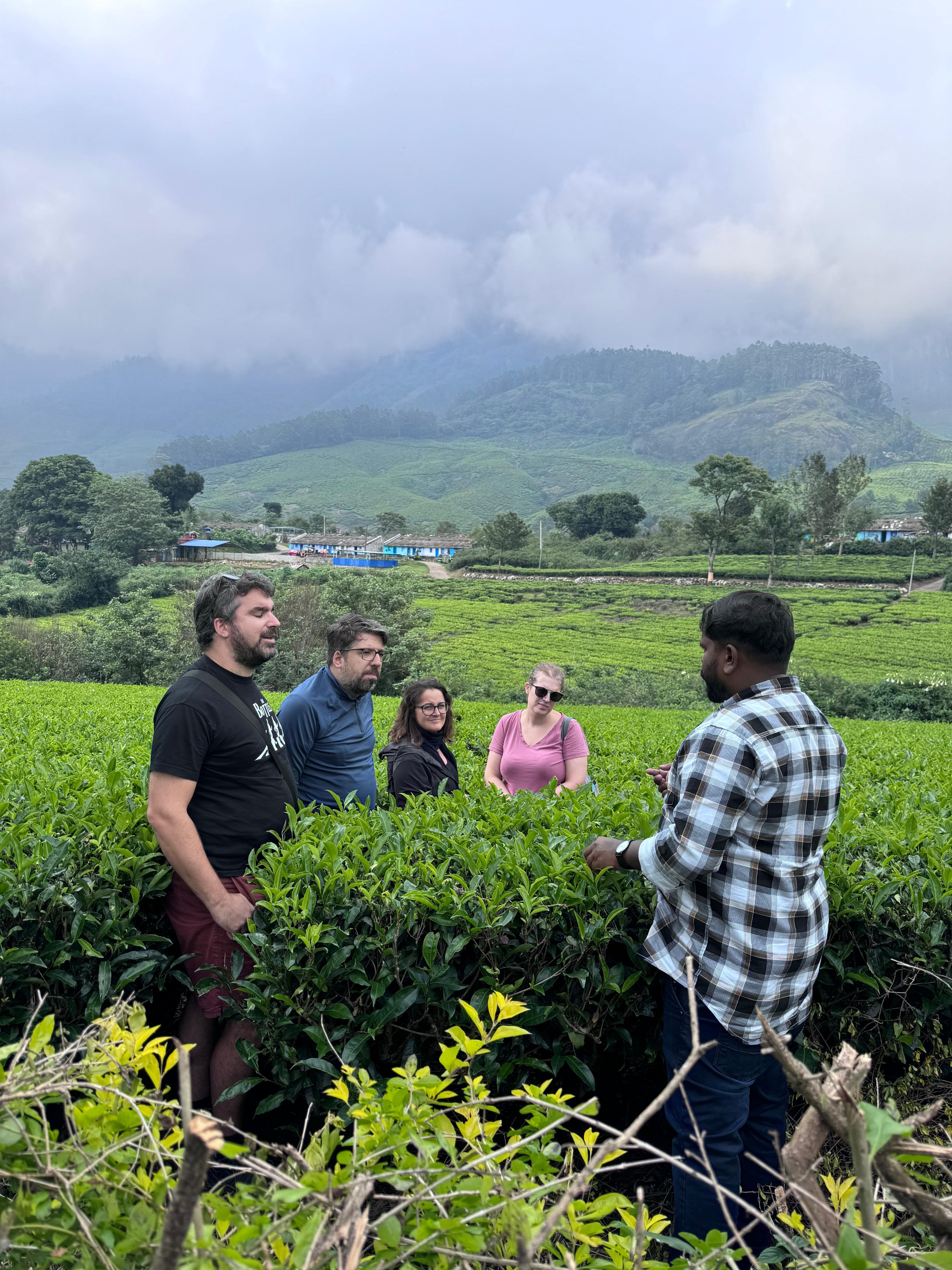 Munnar: Kolukkumalai High-Altitude Tea Estate Jeep Adventure