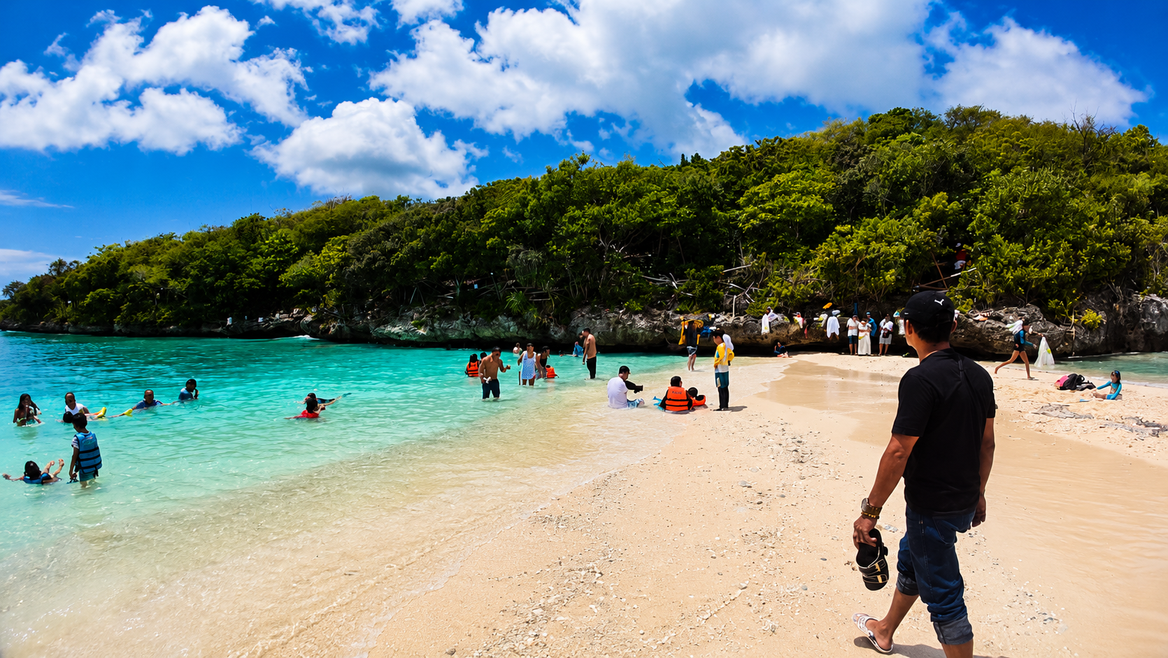 Cebu: Whale Sharks, Tumalog Falls & Sumilon Island Day Tour