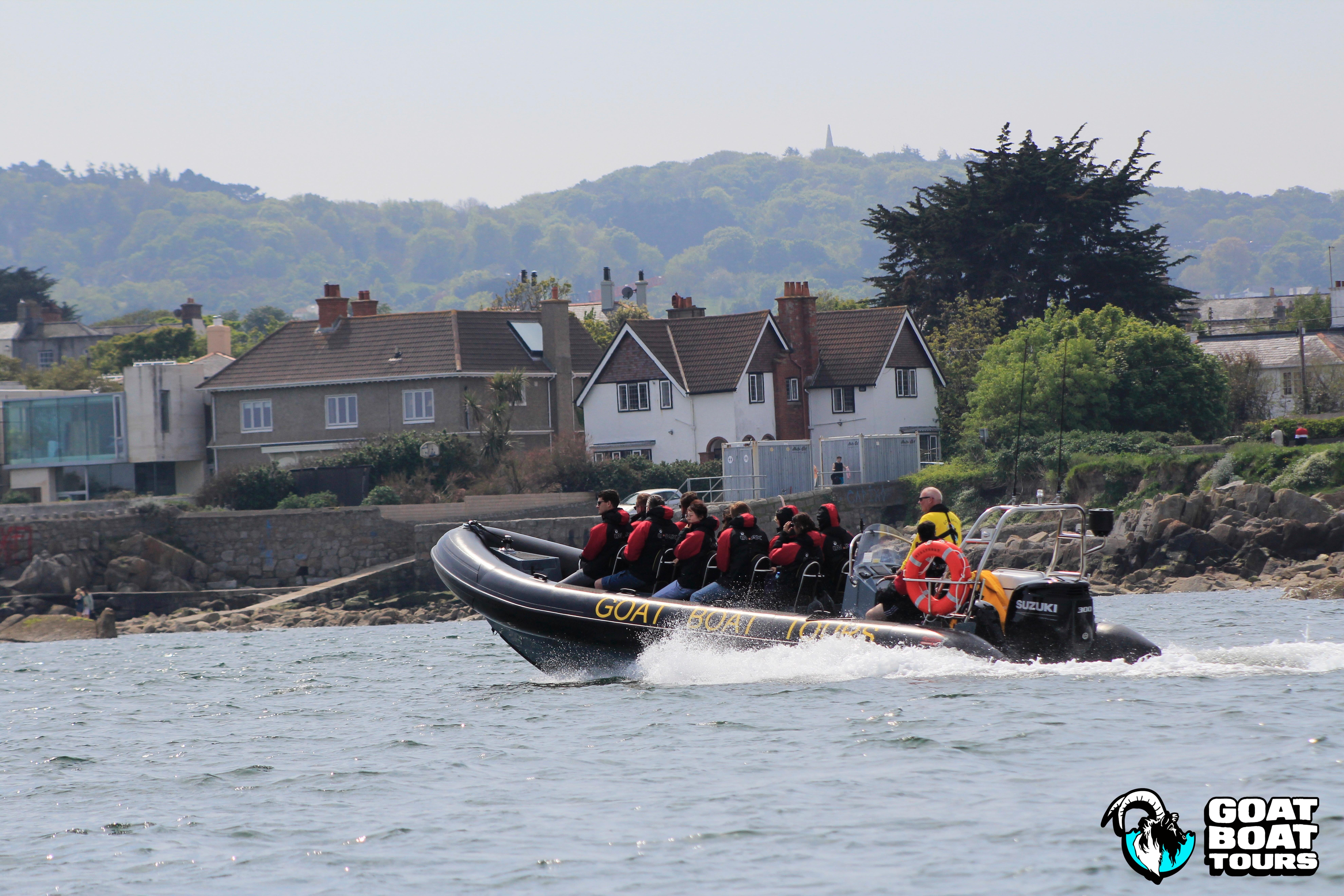 Dublin Bay History and Wildlife Boat Tour