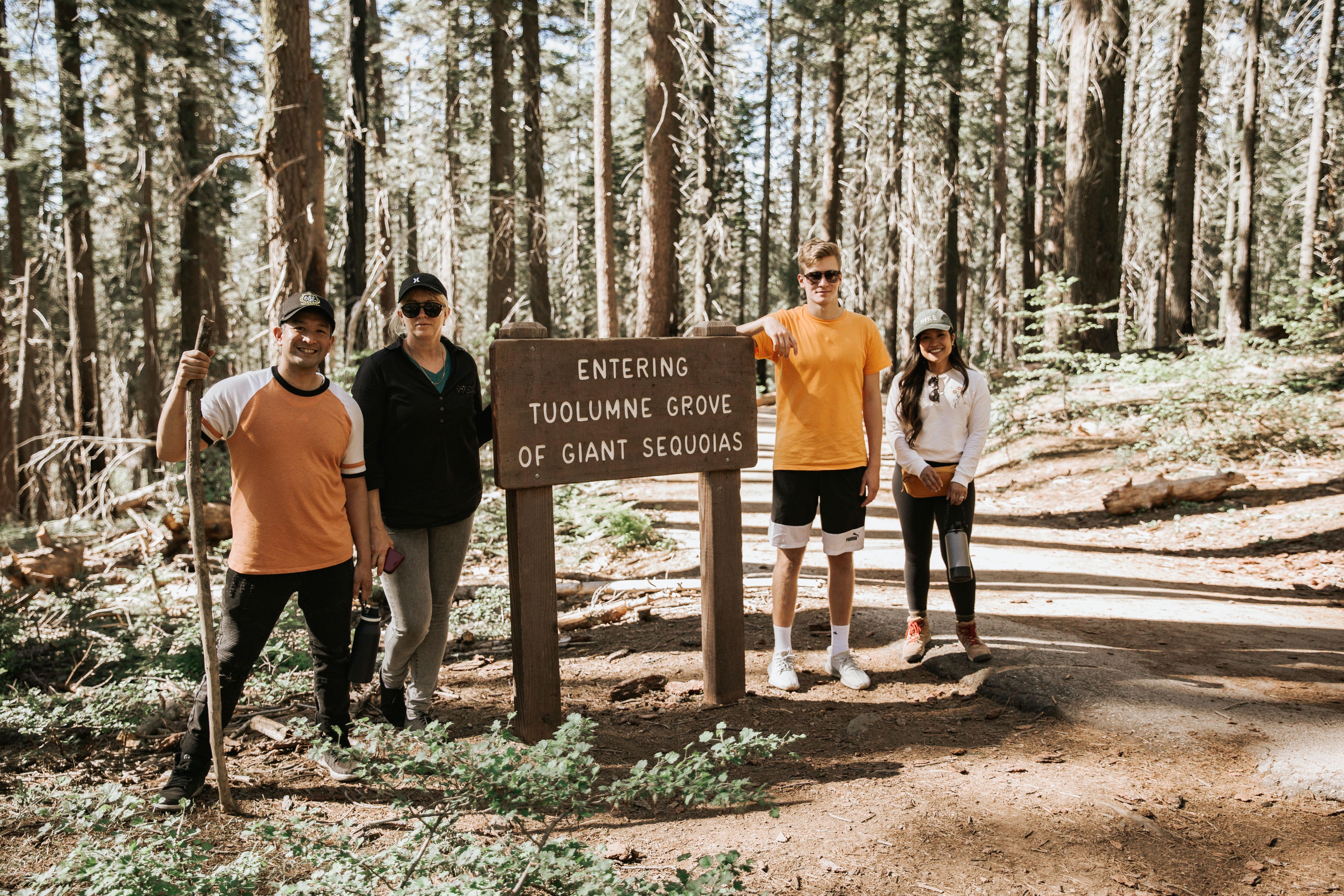 Yosemite National Park granite cliffs and waterfalls seen on a day trip from San Francisco — image 19