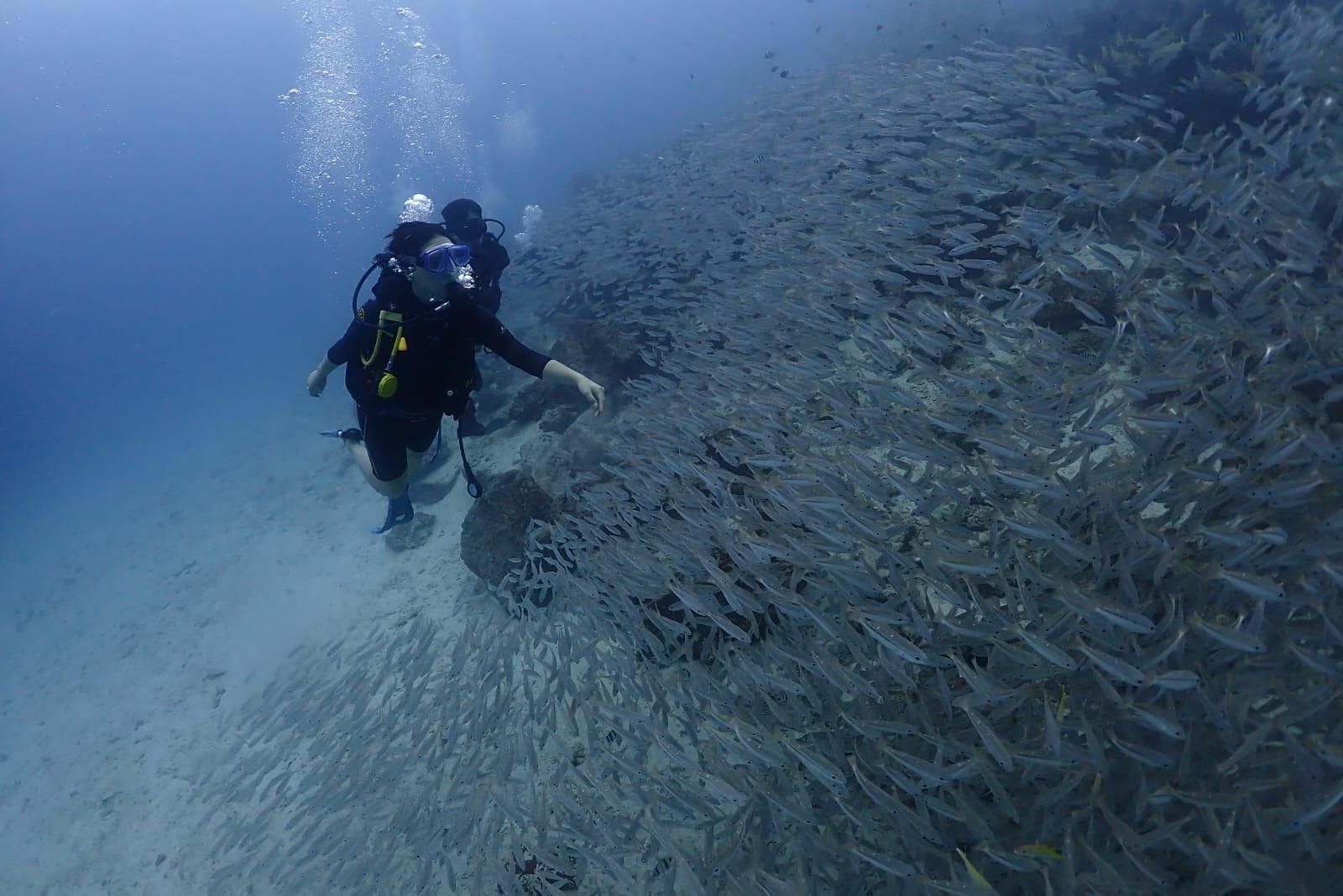 Phuket: Racha & Maiton Islands Scuba Diving for All Levels