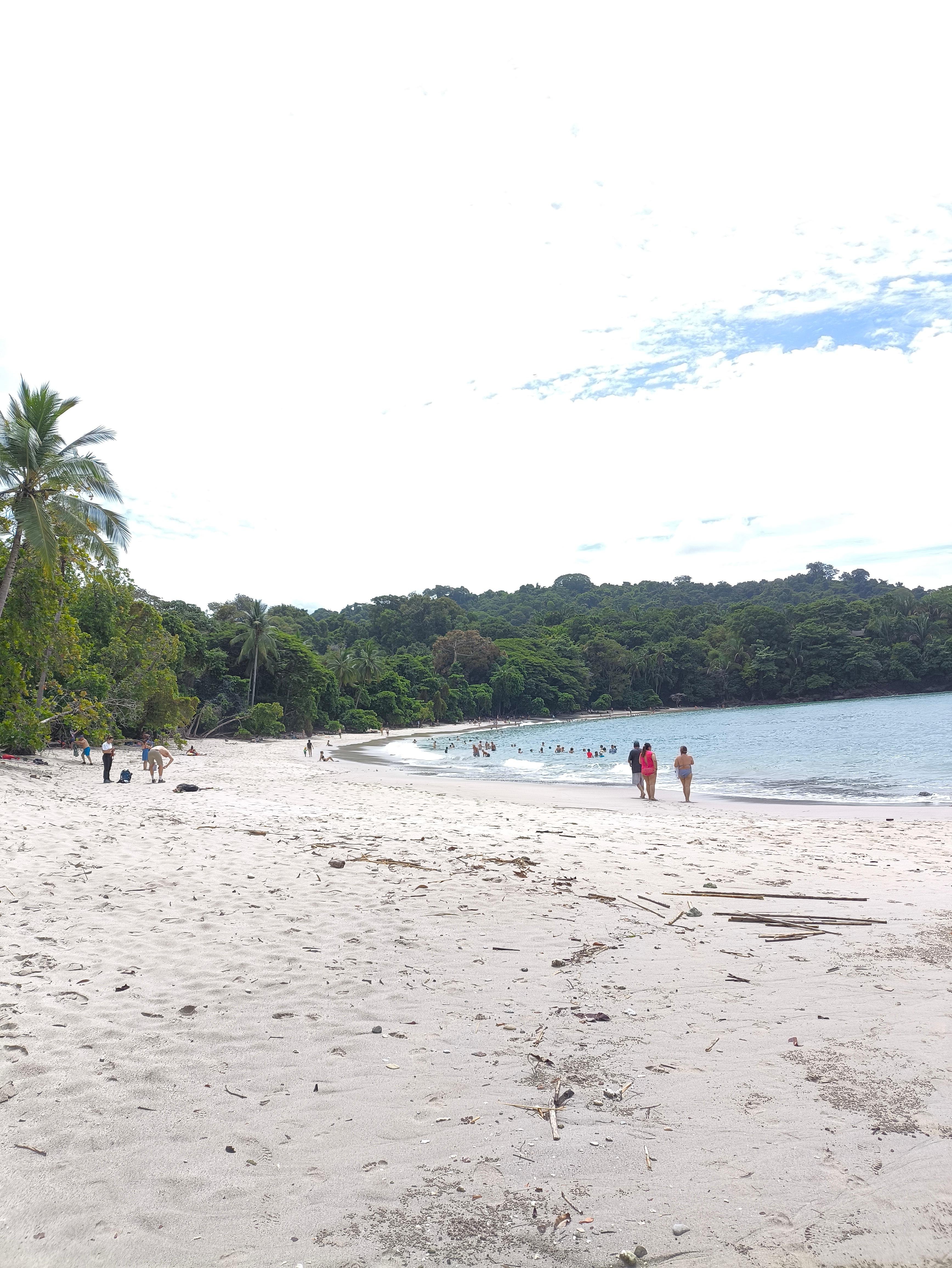 Manuel Antonio National Park: Expert-Guided Wildlife Hike