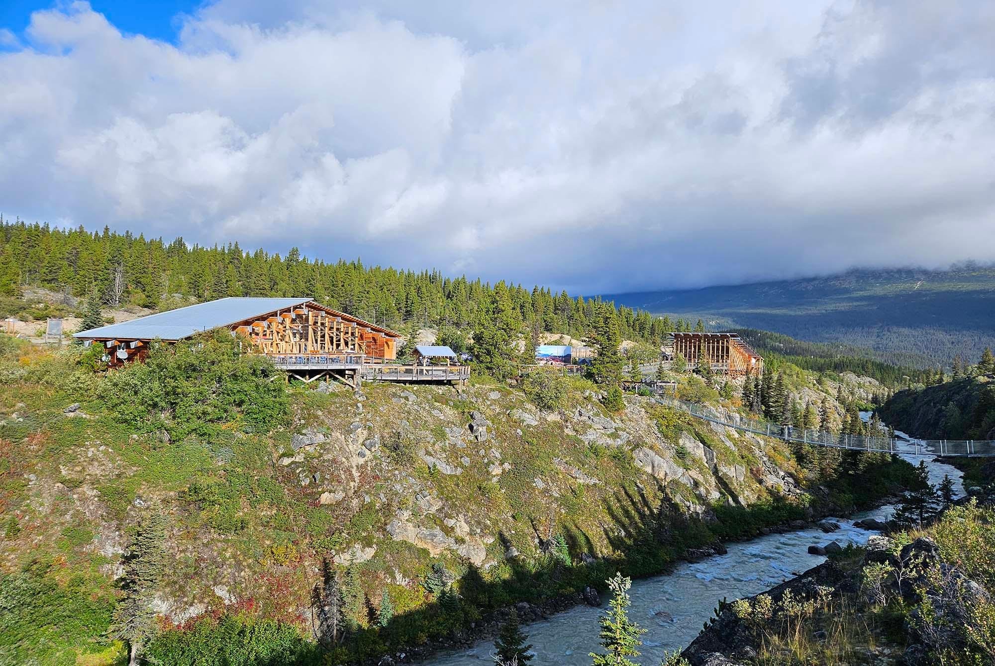 From Skagway: White Pass and Yukon Suspension Bridge Tour