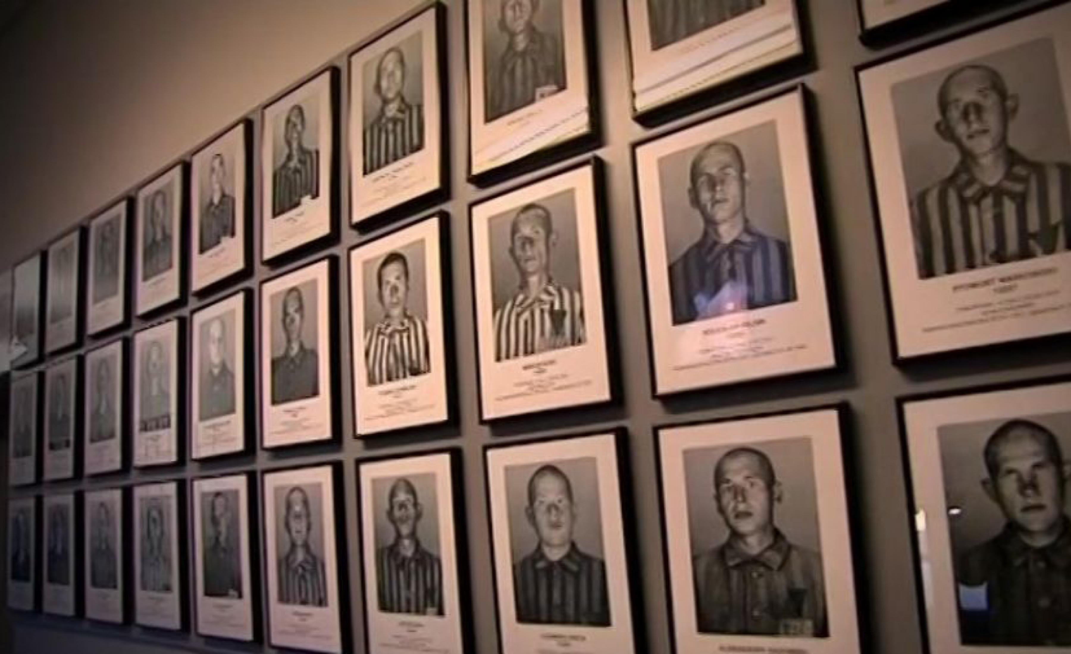 Krakow: Auschwitz-Birkenau Memorial Private Transfer Tour