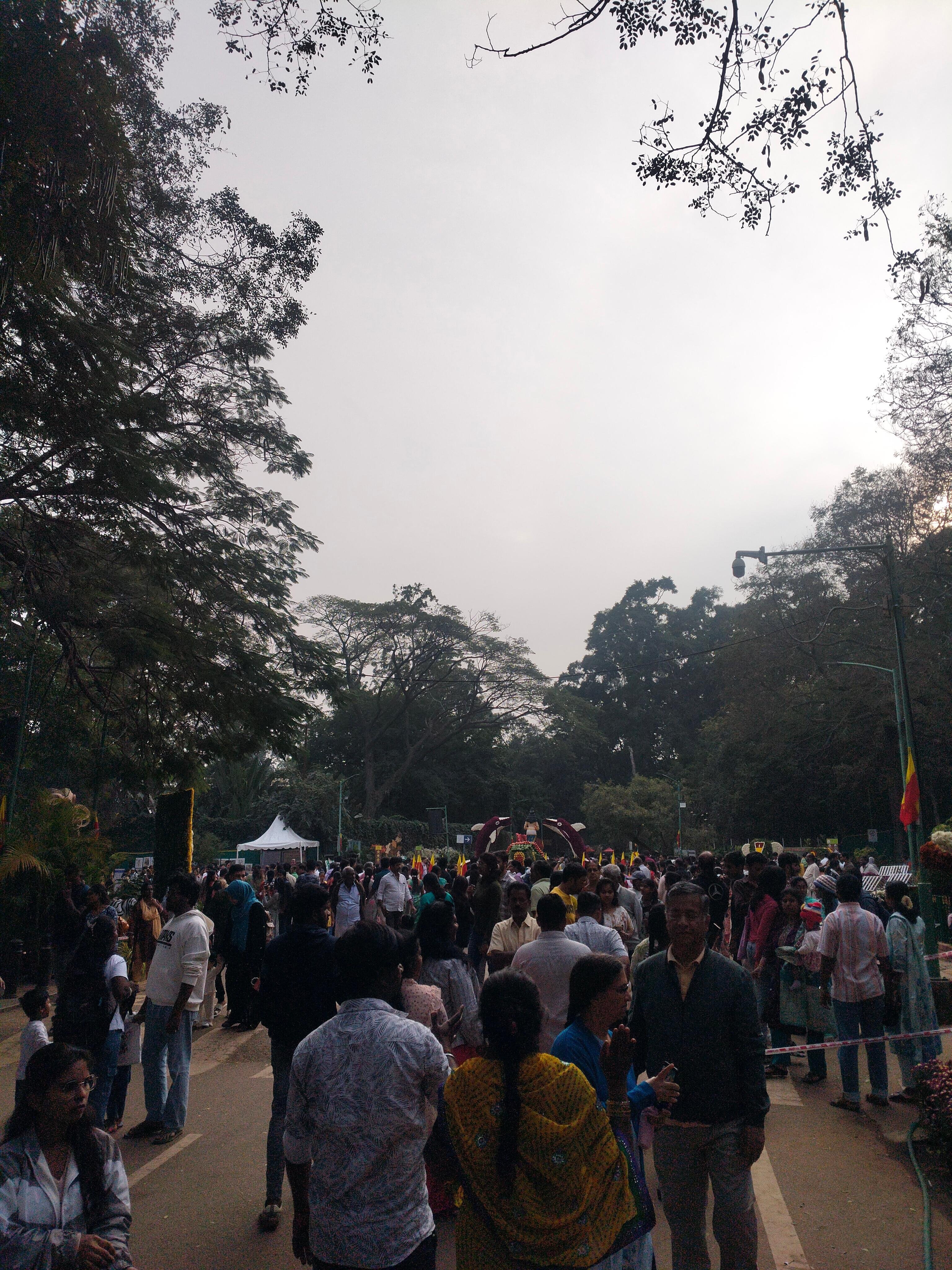 Cubbon Park Heritage and Nature Walking Tour